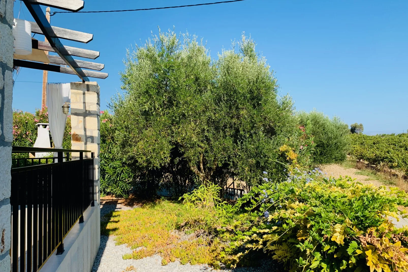 Villa in Loutra-Gardens summer