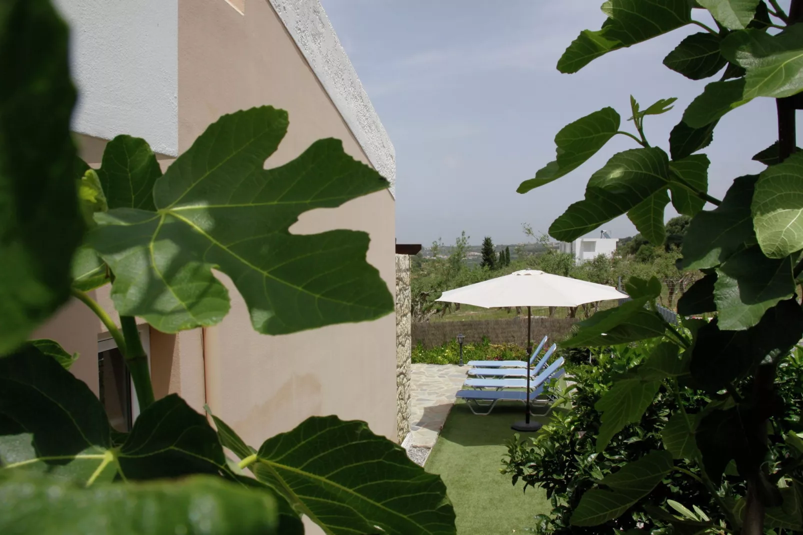 Villa Xenia-Extérieur été