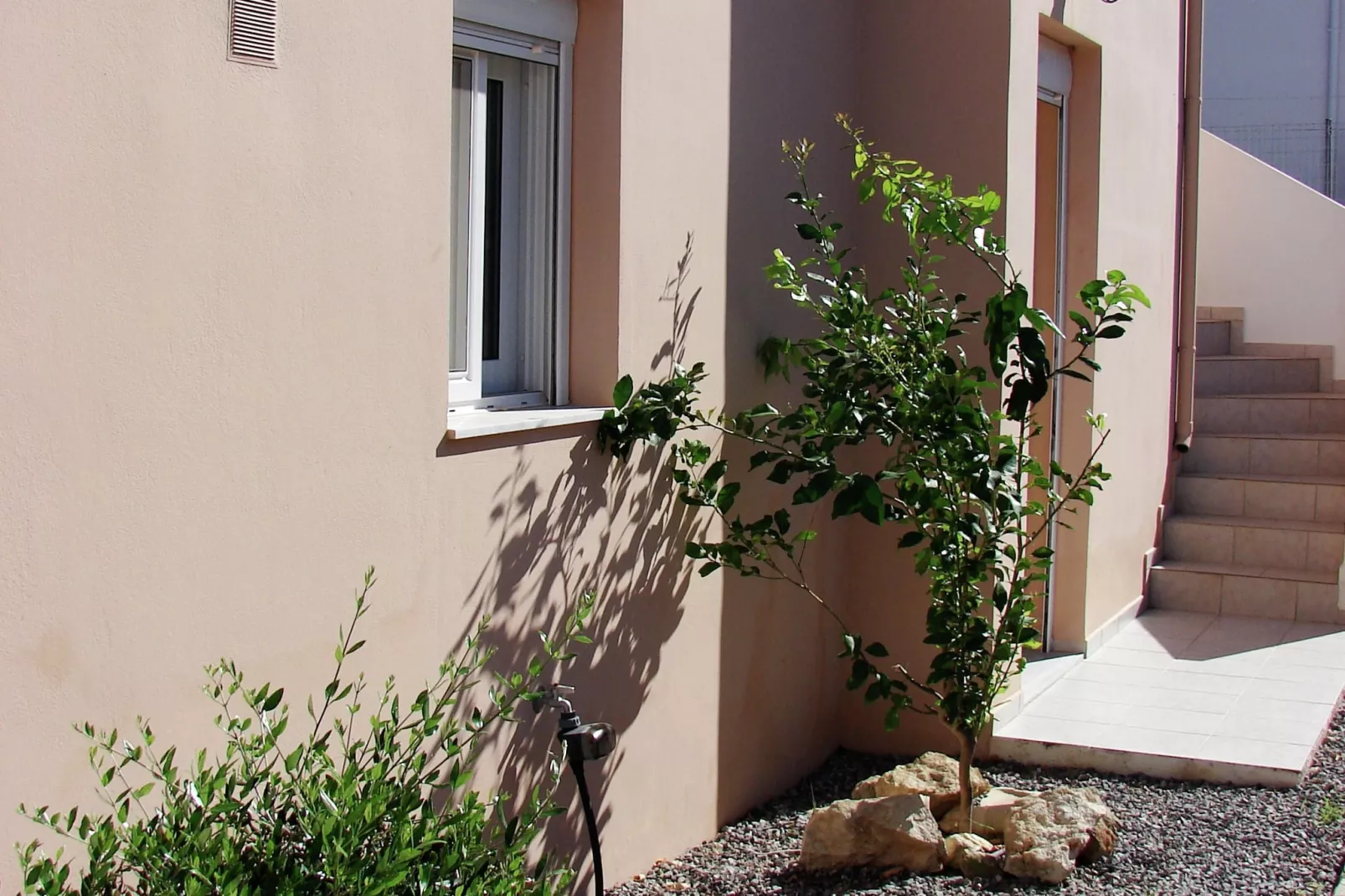 Villa Xenia-Extérieur été