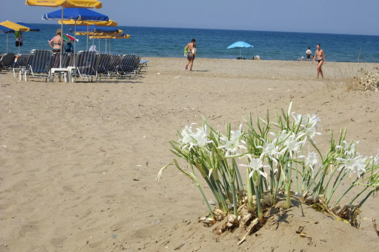 Villa Cocoon-Areas summer 5km