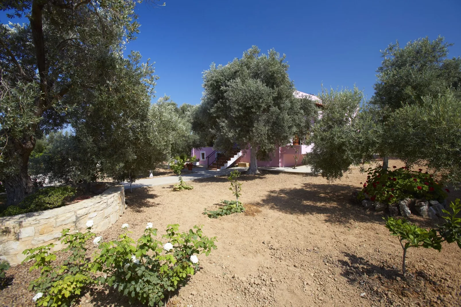 Villa Athina-Gardens summer