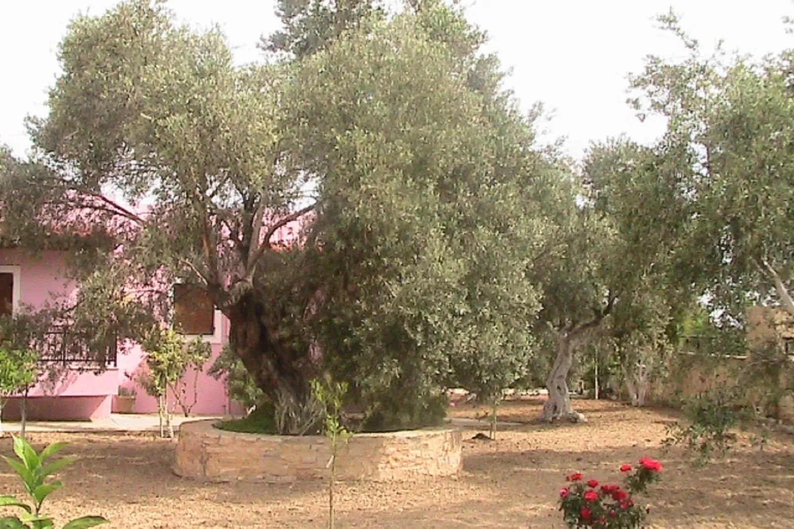 Villa Athina-Gardens summer