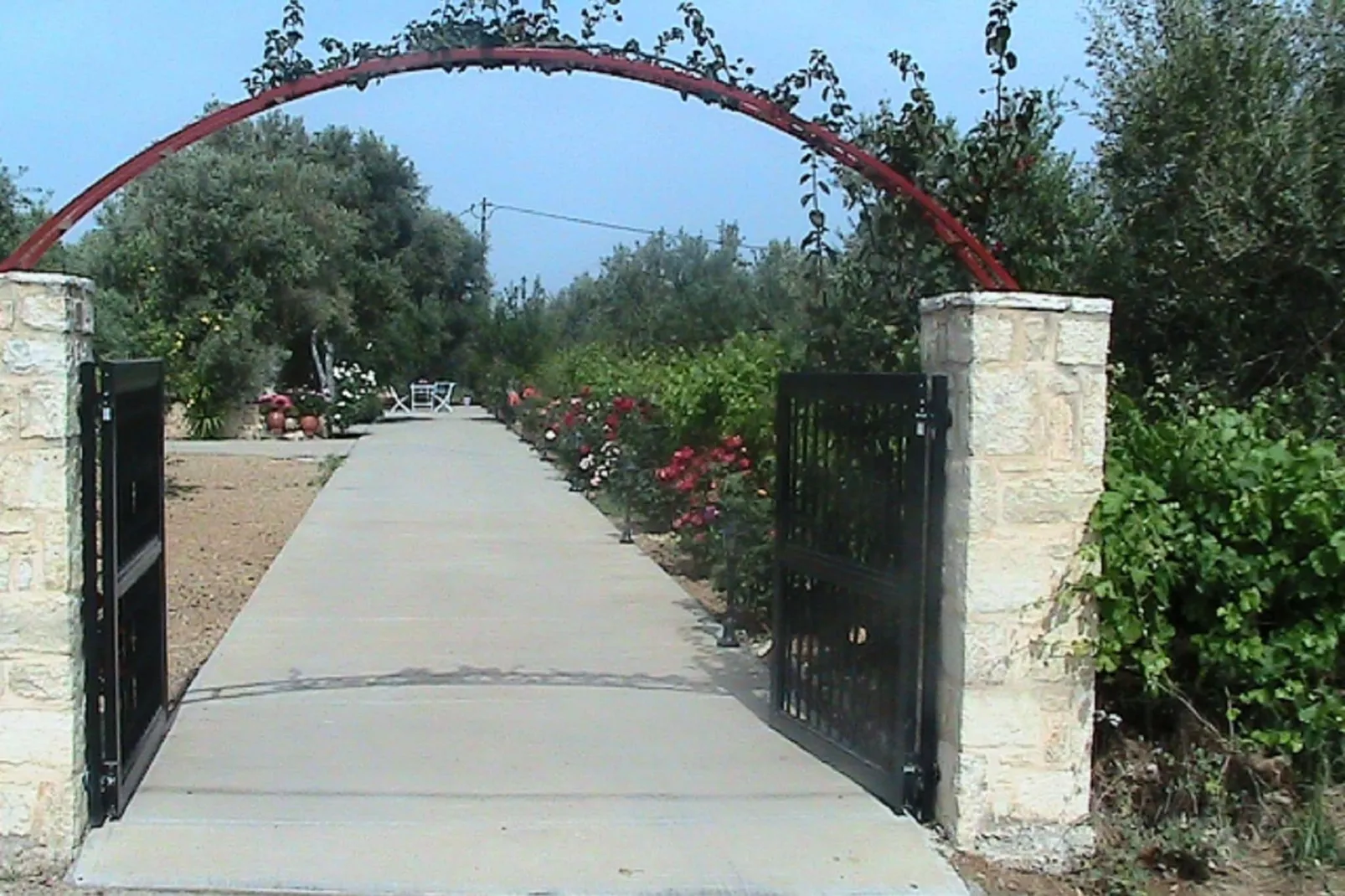 Villa Athina-Gardens summer