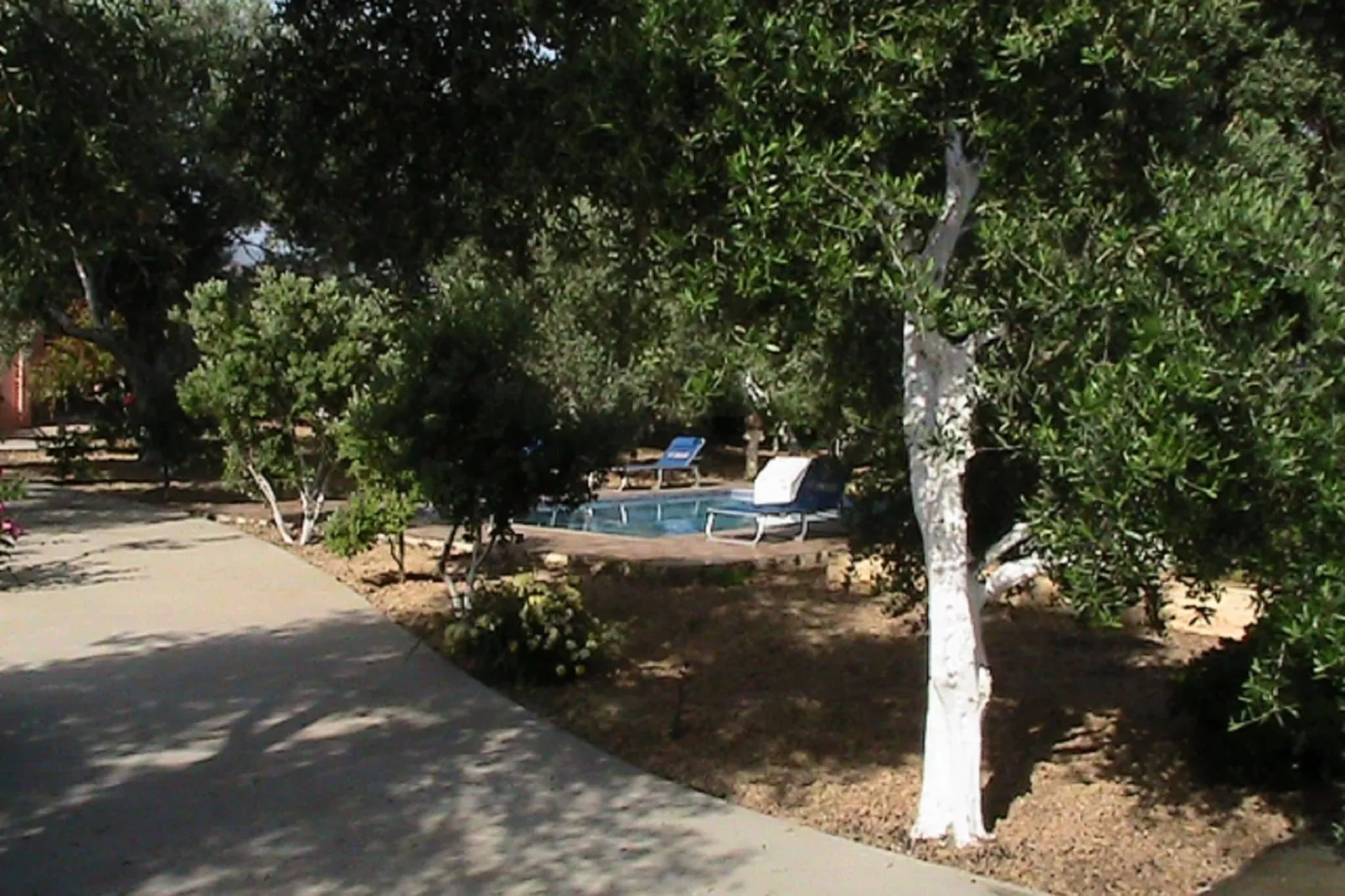 Villa Athina-Gardens summer