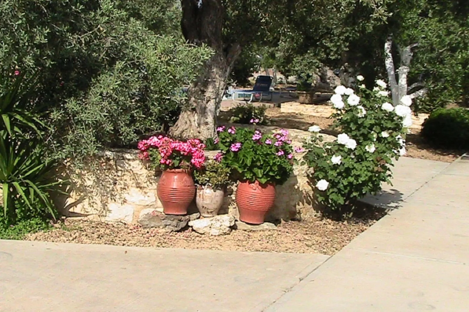 Villa Athina-Gardens summer