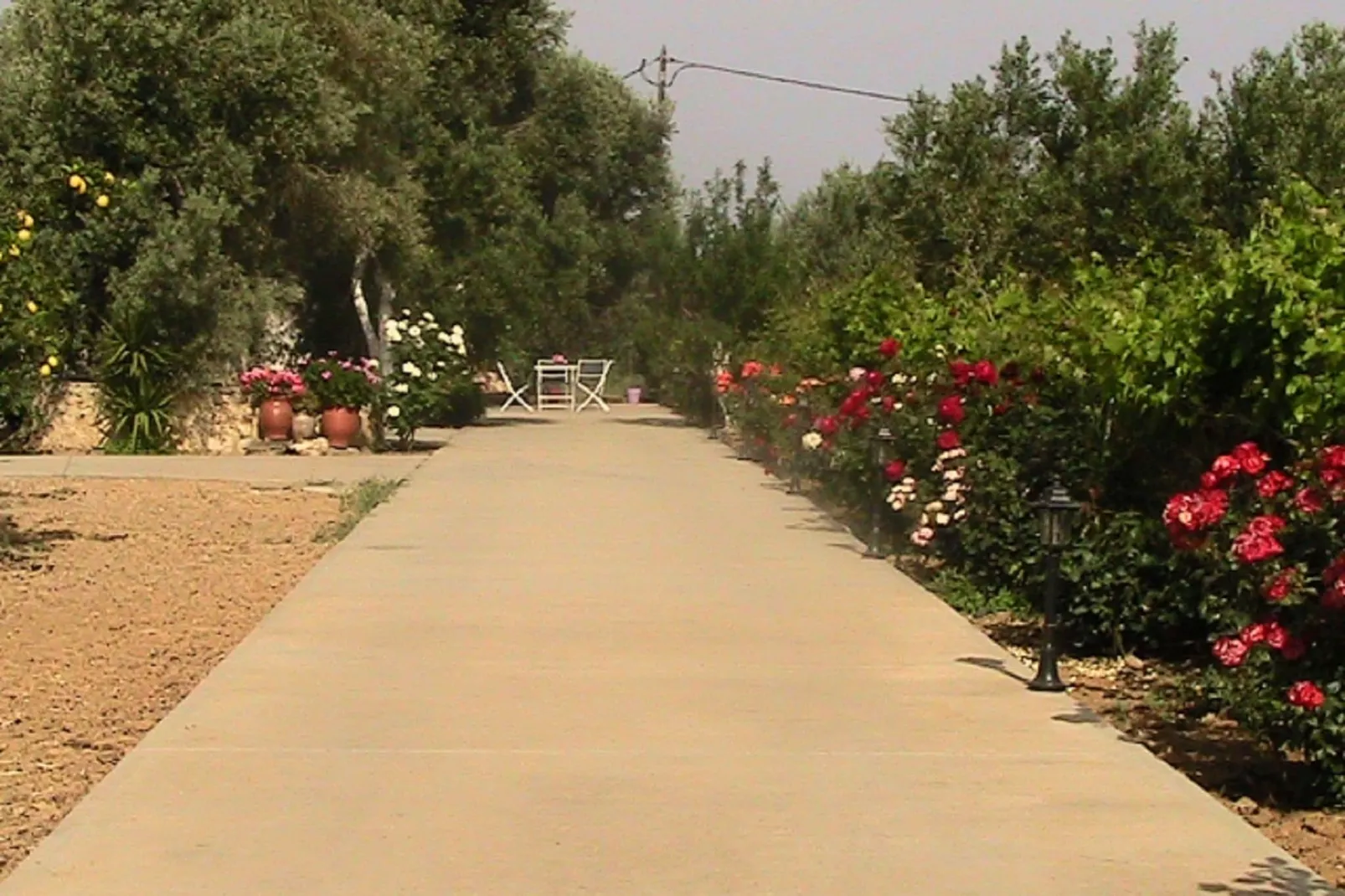 Villa Athina-Gardens summer