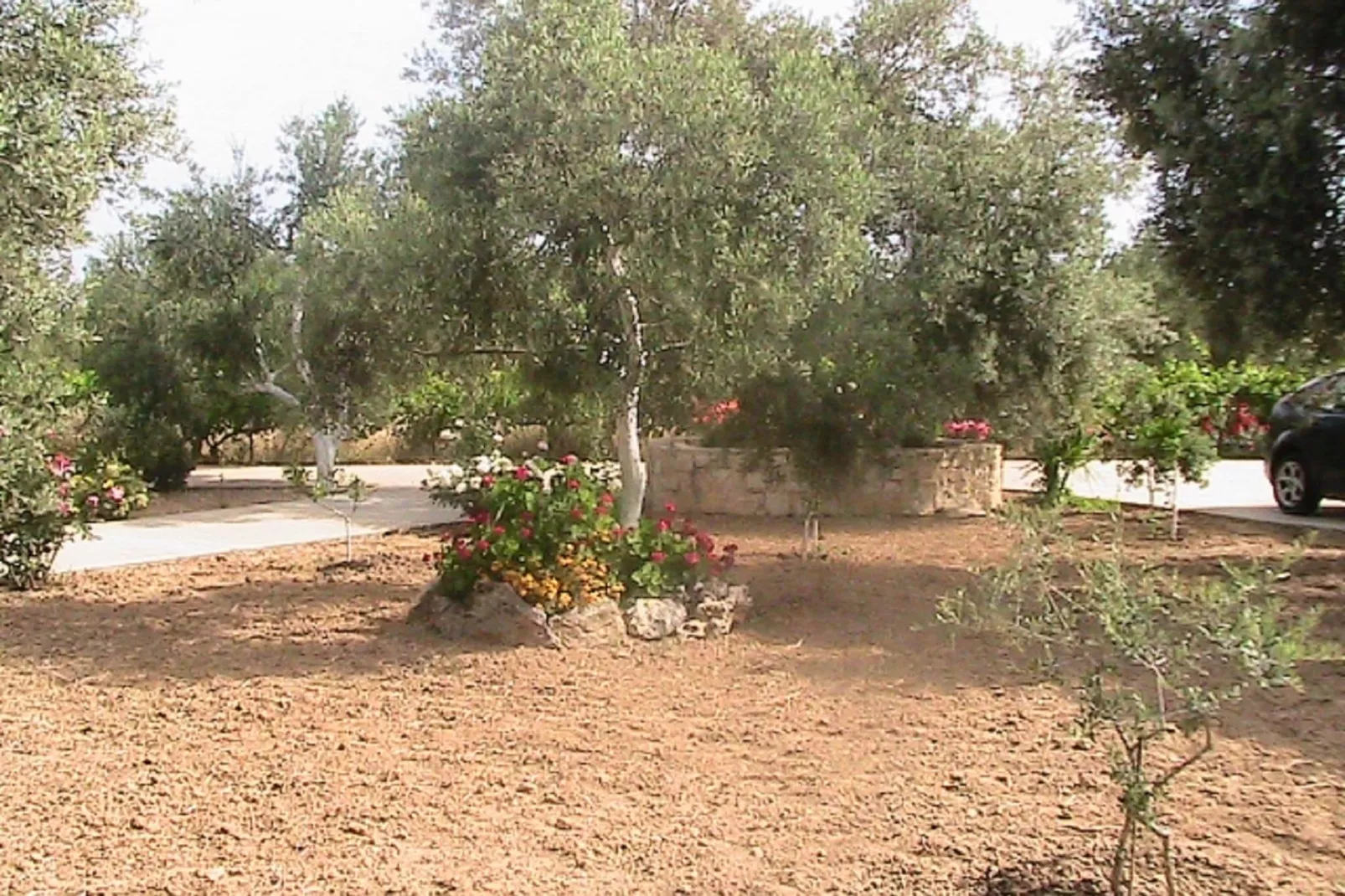 Villa Athina-Gardens summer