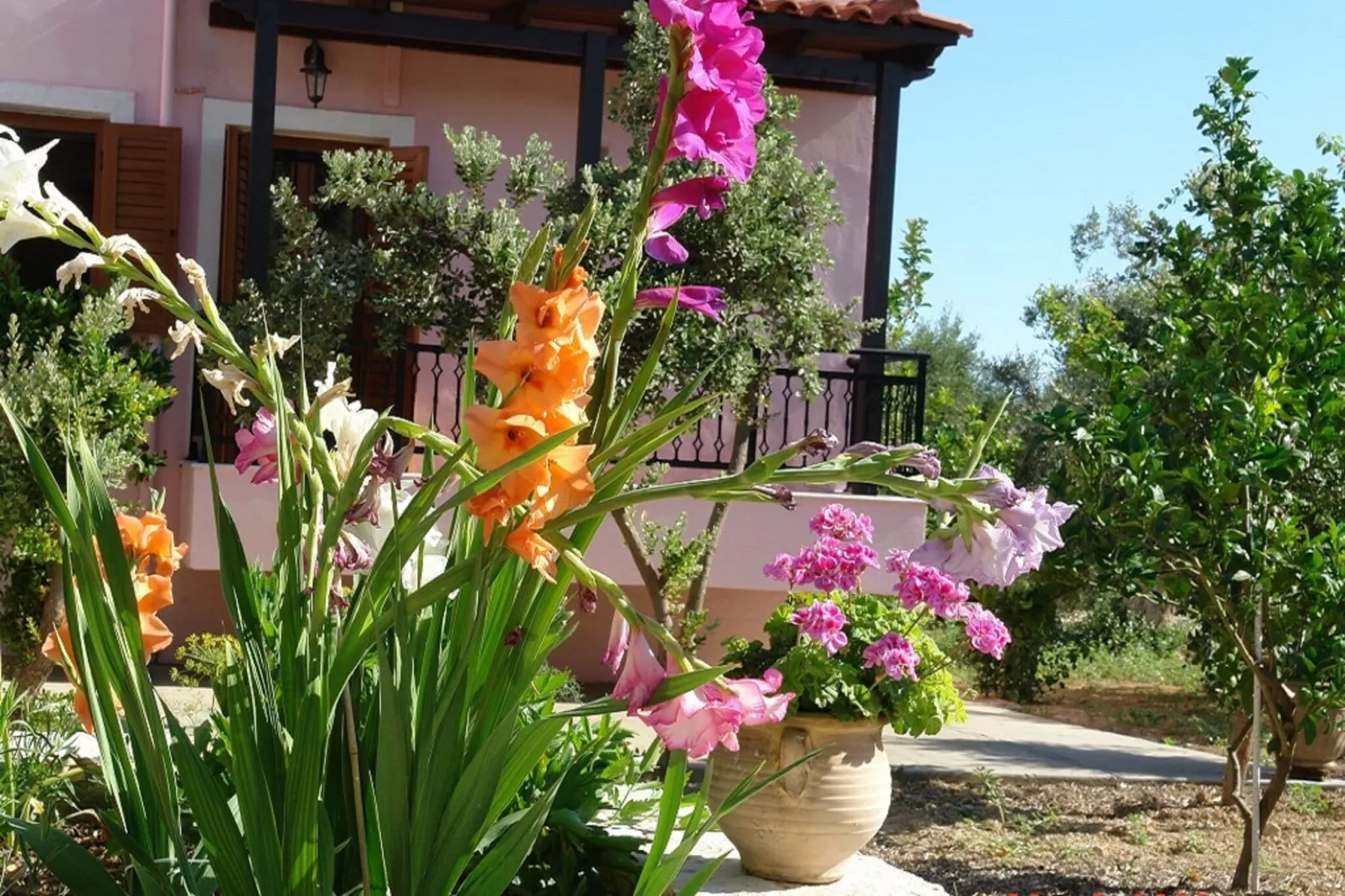 Villa Athina-Exterior summer