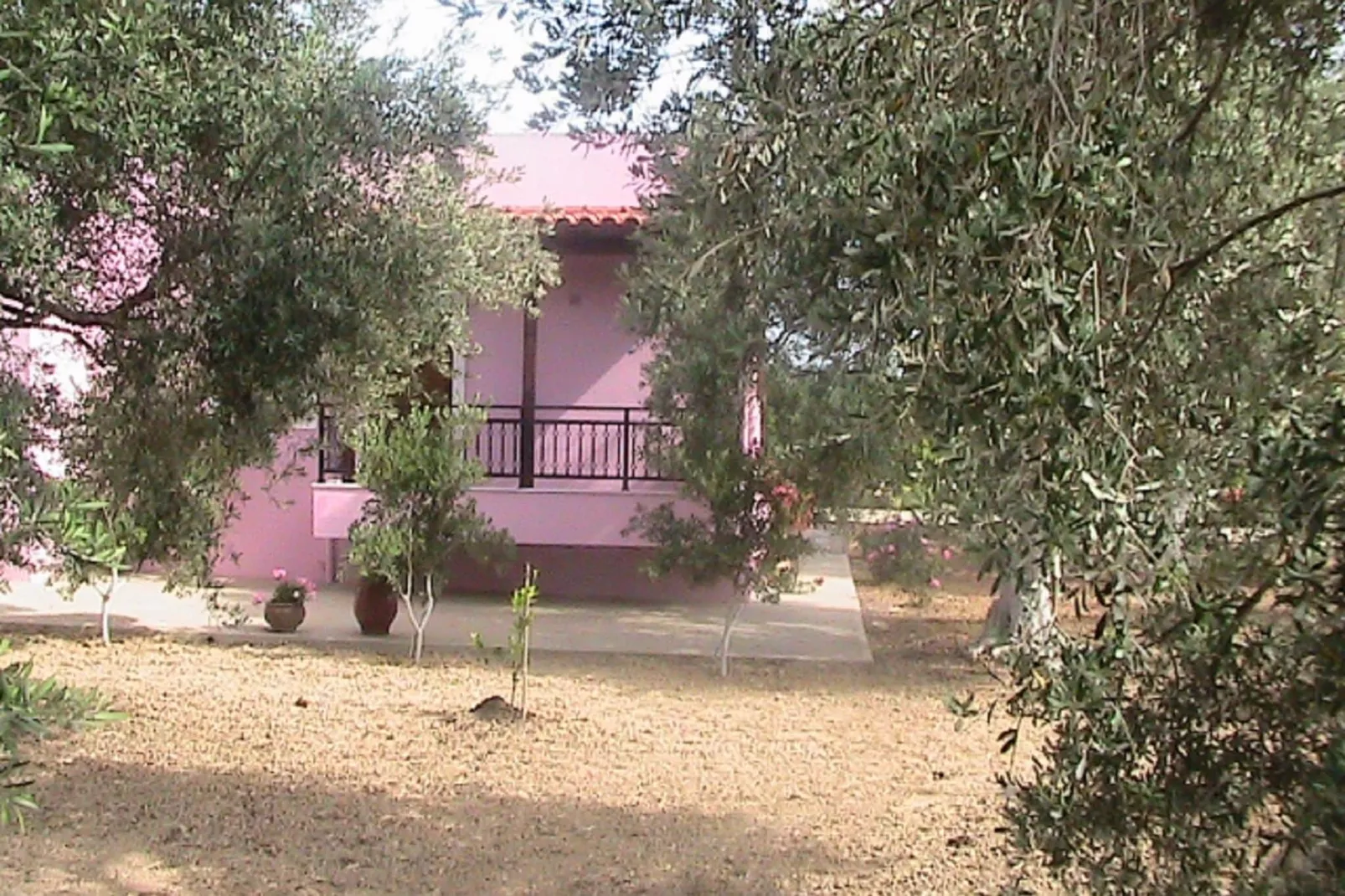 Villa Athina-Exterior summer