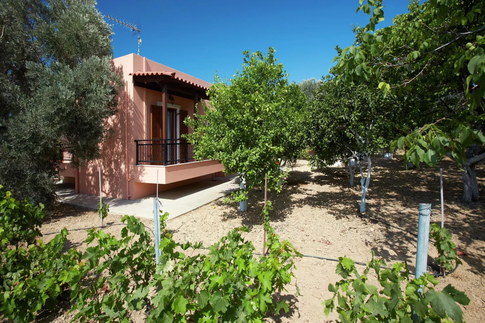 Villa Estia-Gärten Sommer