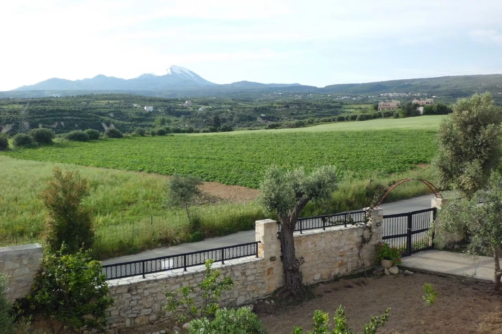 Villa Afroditi-View summer