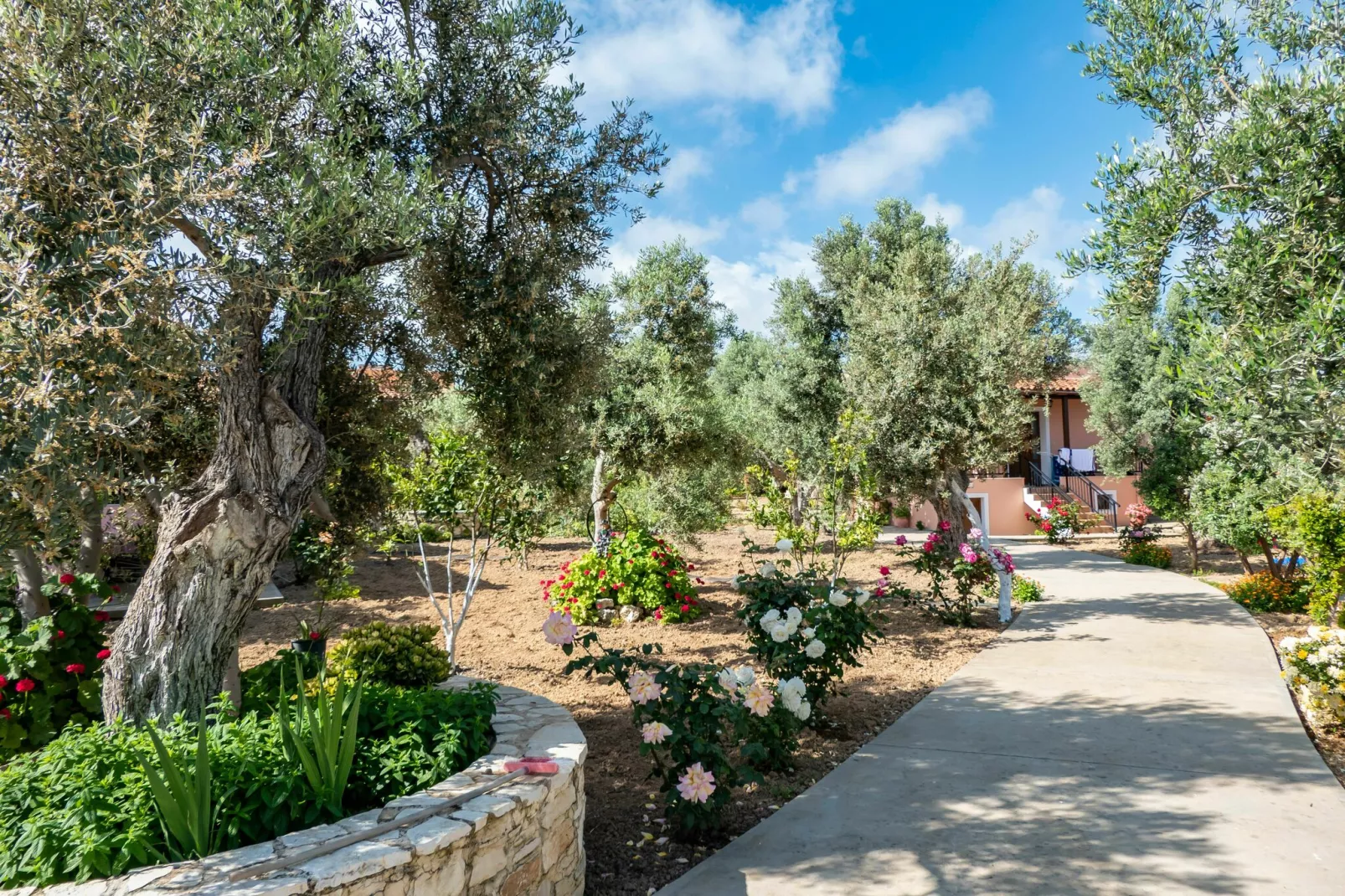 Villa Afroditi-Gardens summer