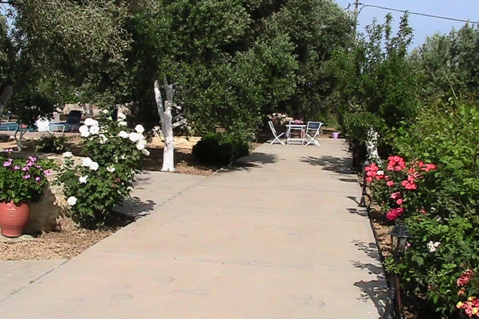 Villa Afroditi-Gardens summer