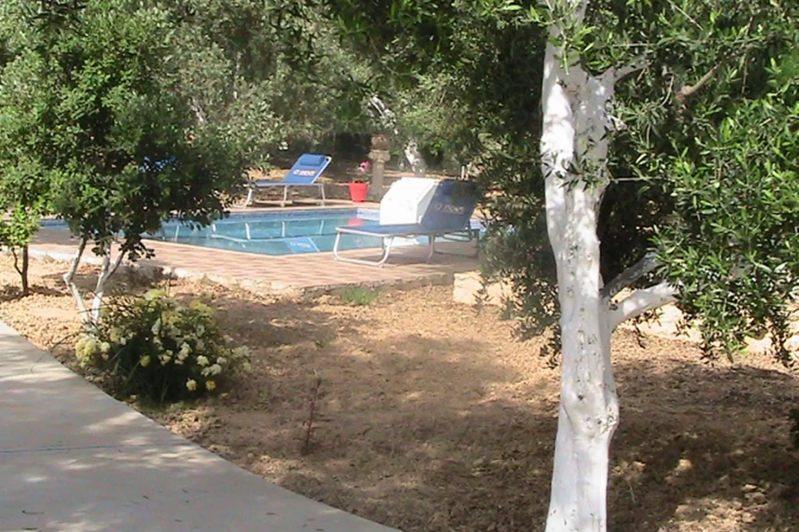 Villa Afroditi-Gardens summer