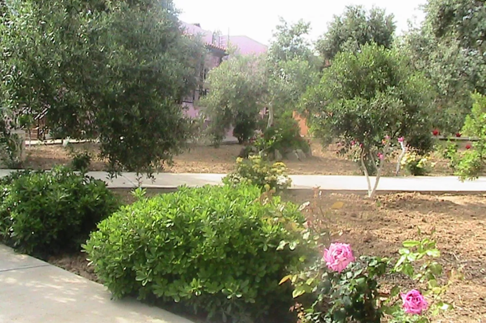 Villa Afroditi-Gardens summer