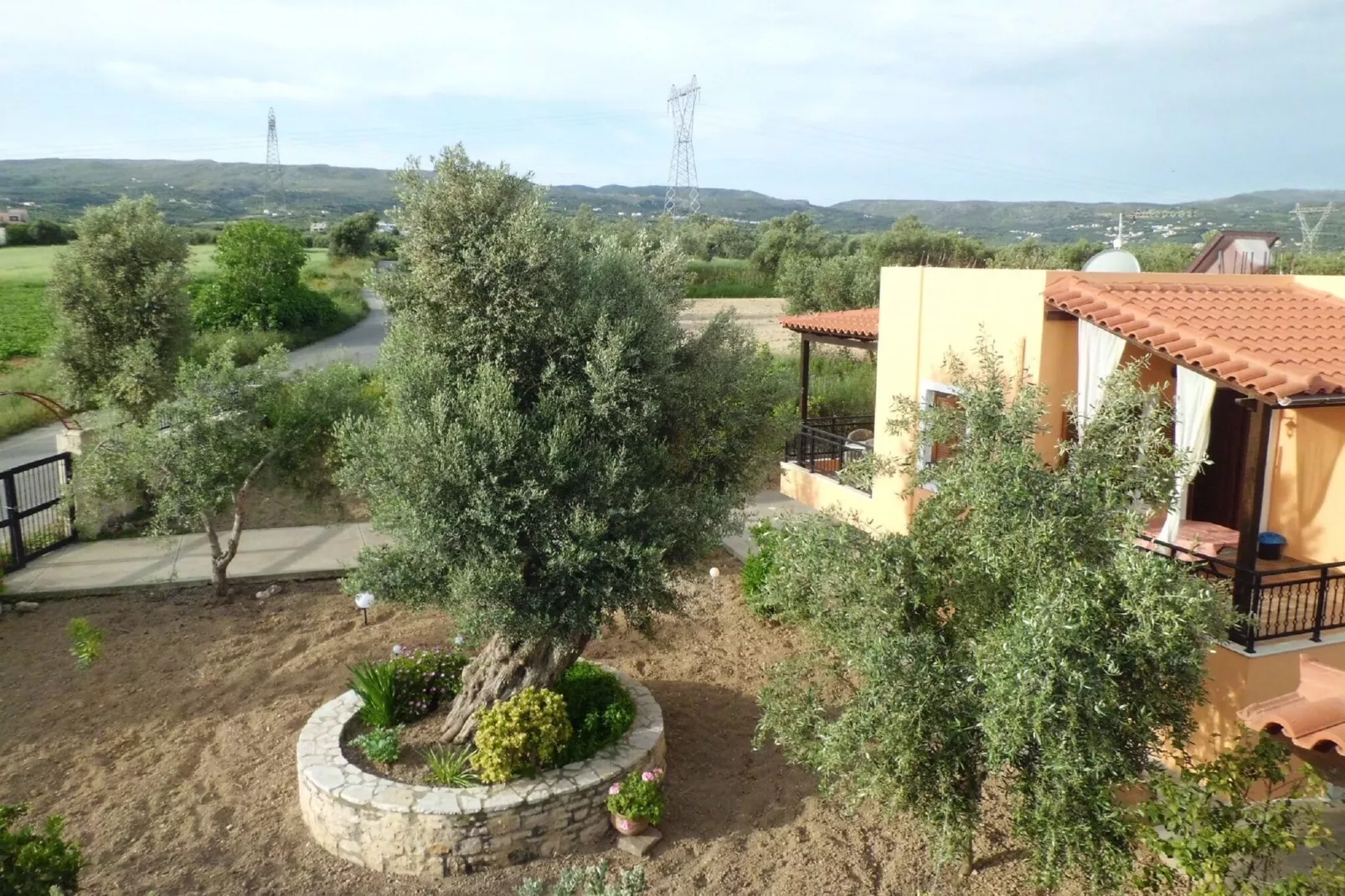 Villa Afroditi-Gardens summer