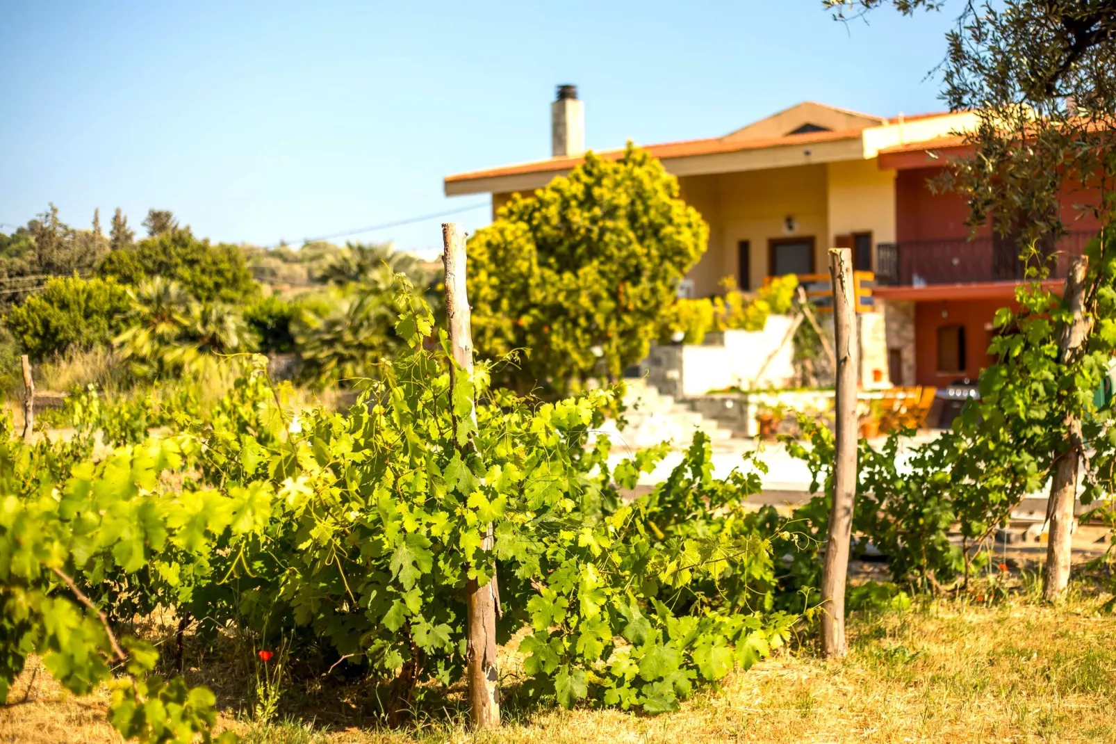 Emarmene Country Home-View summer