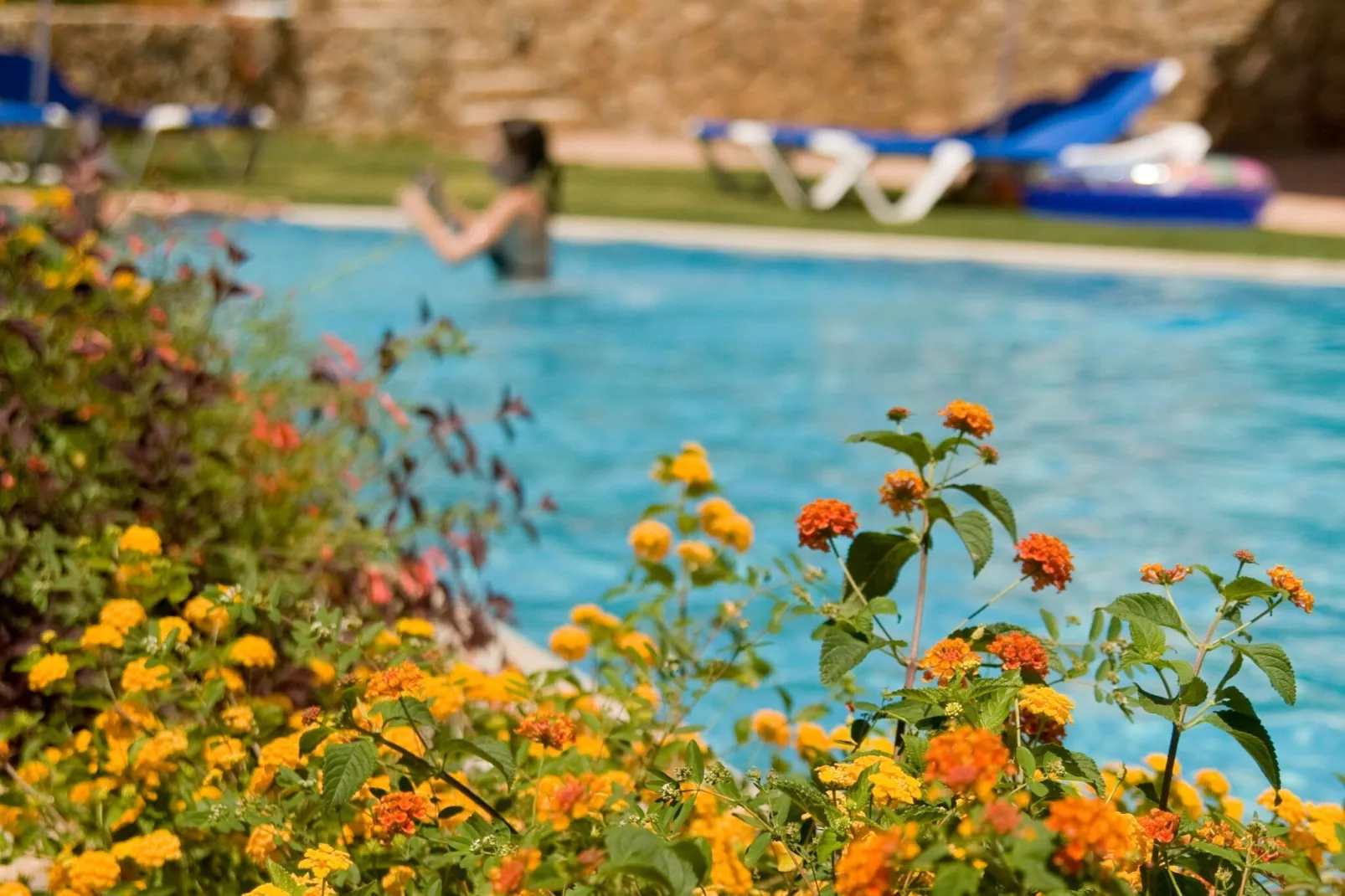 Blue Dream Garden Executive Villa-Piscine
