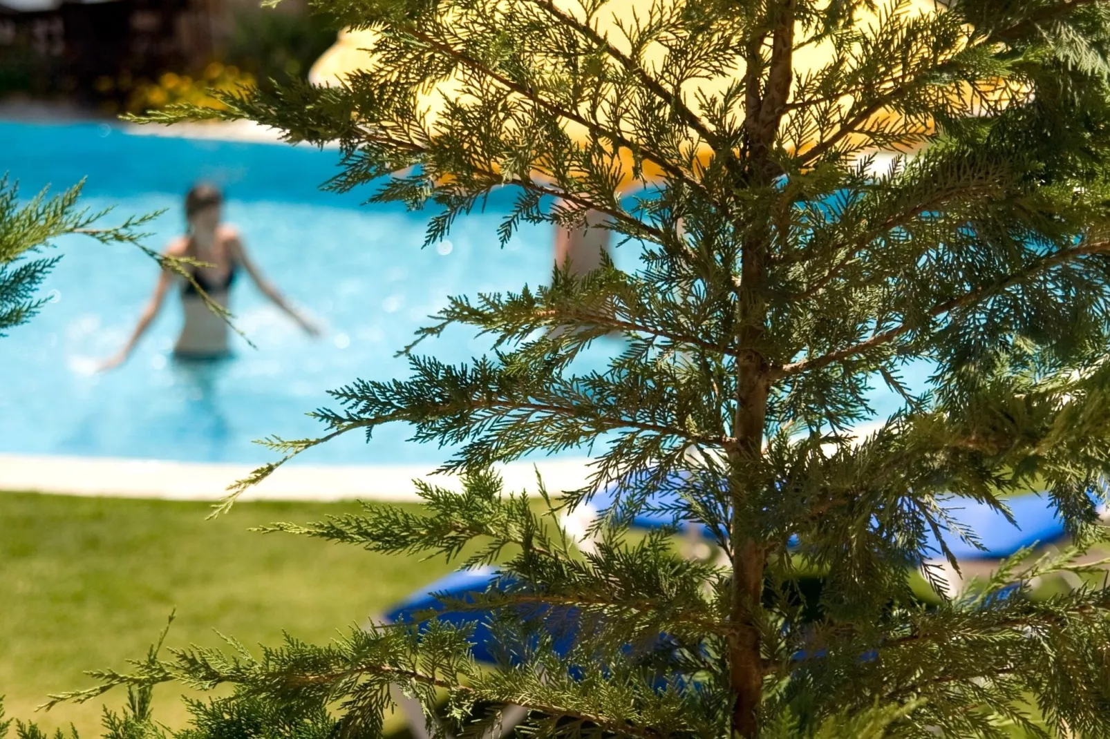 Blue Dream Garden Executive Villa-Piscine