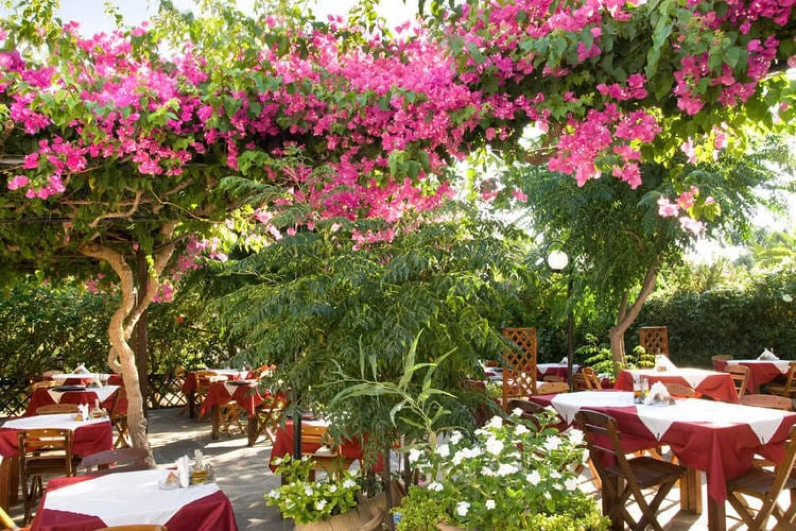 Blue Dream Superior Villa-Gardens summer