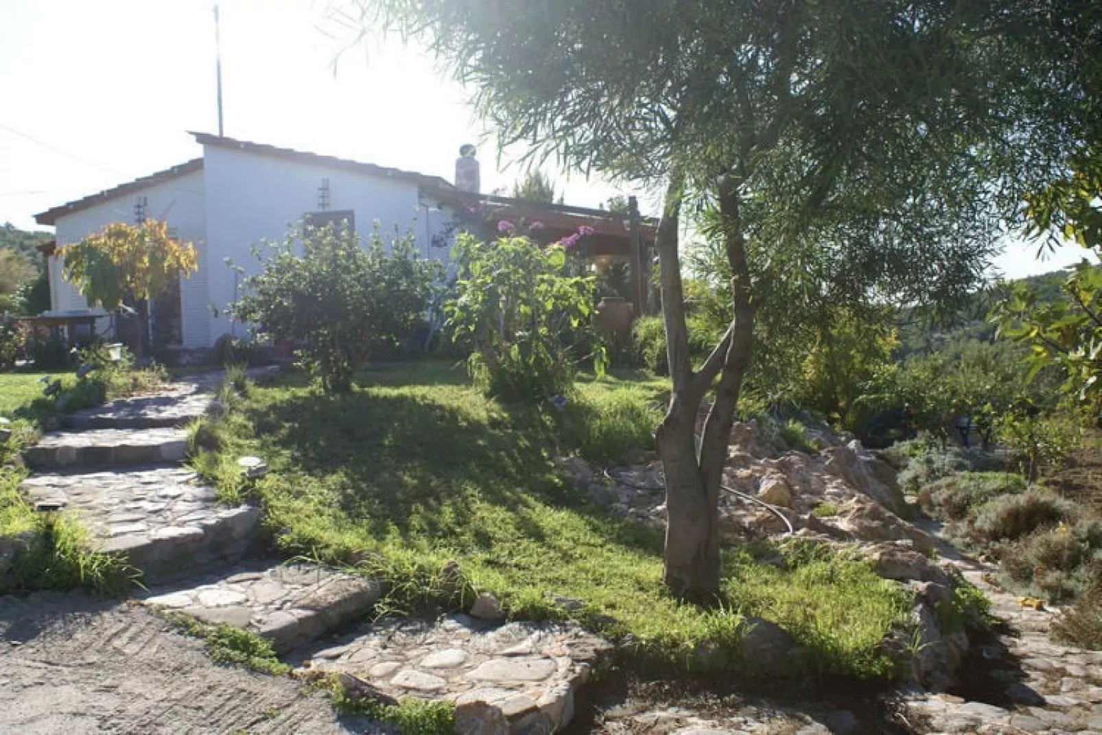 House Kritinia Rhodos-Exterior summer