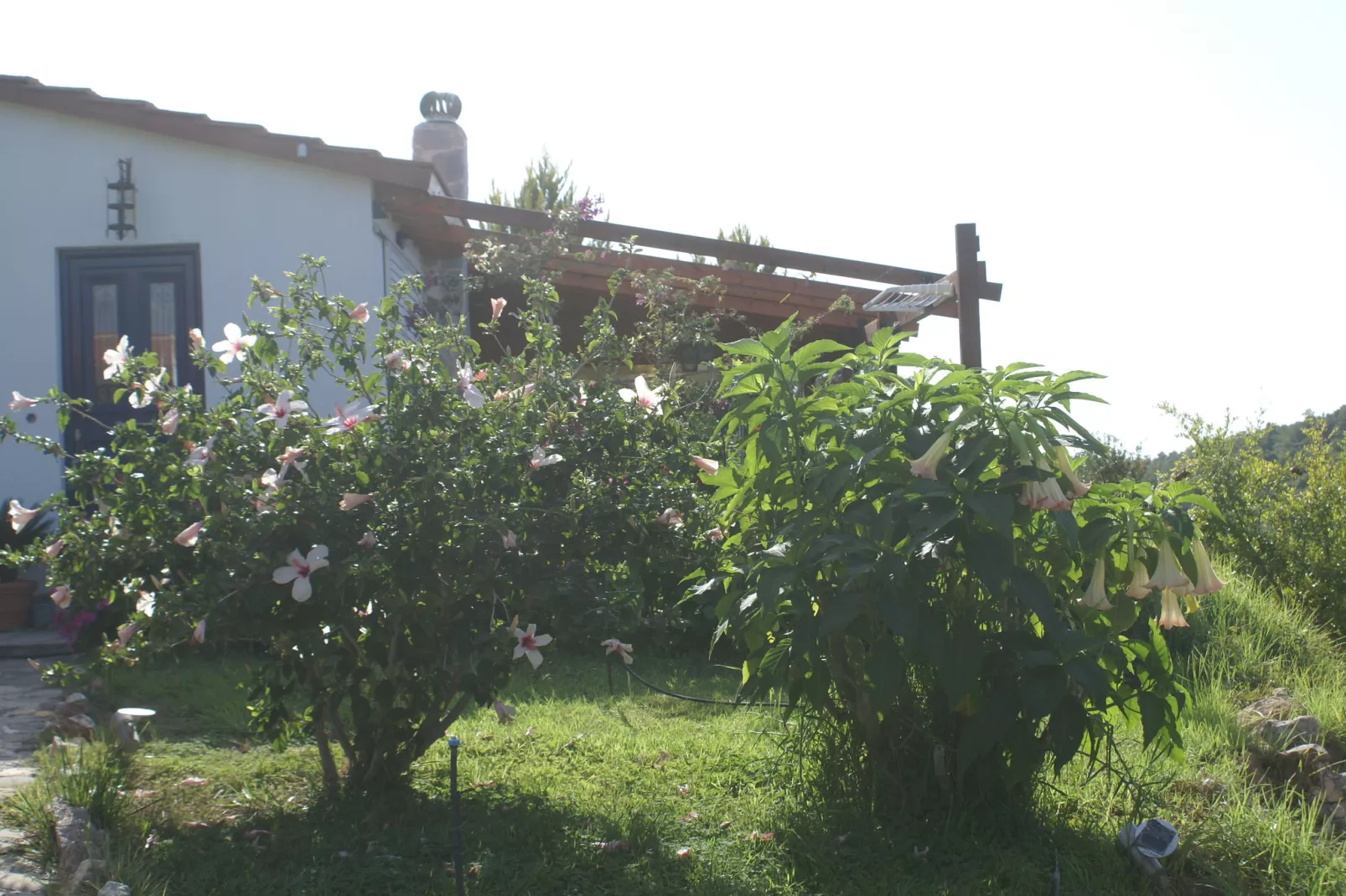 House Kritinia Rhodos-Exterior summer