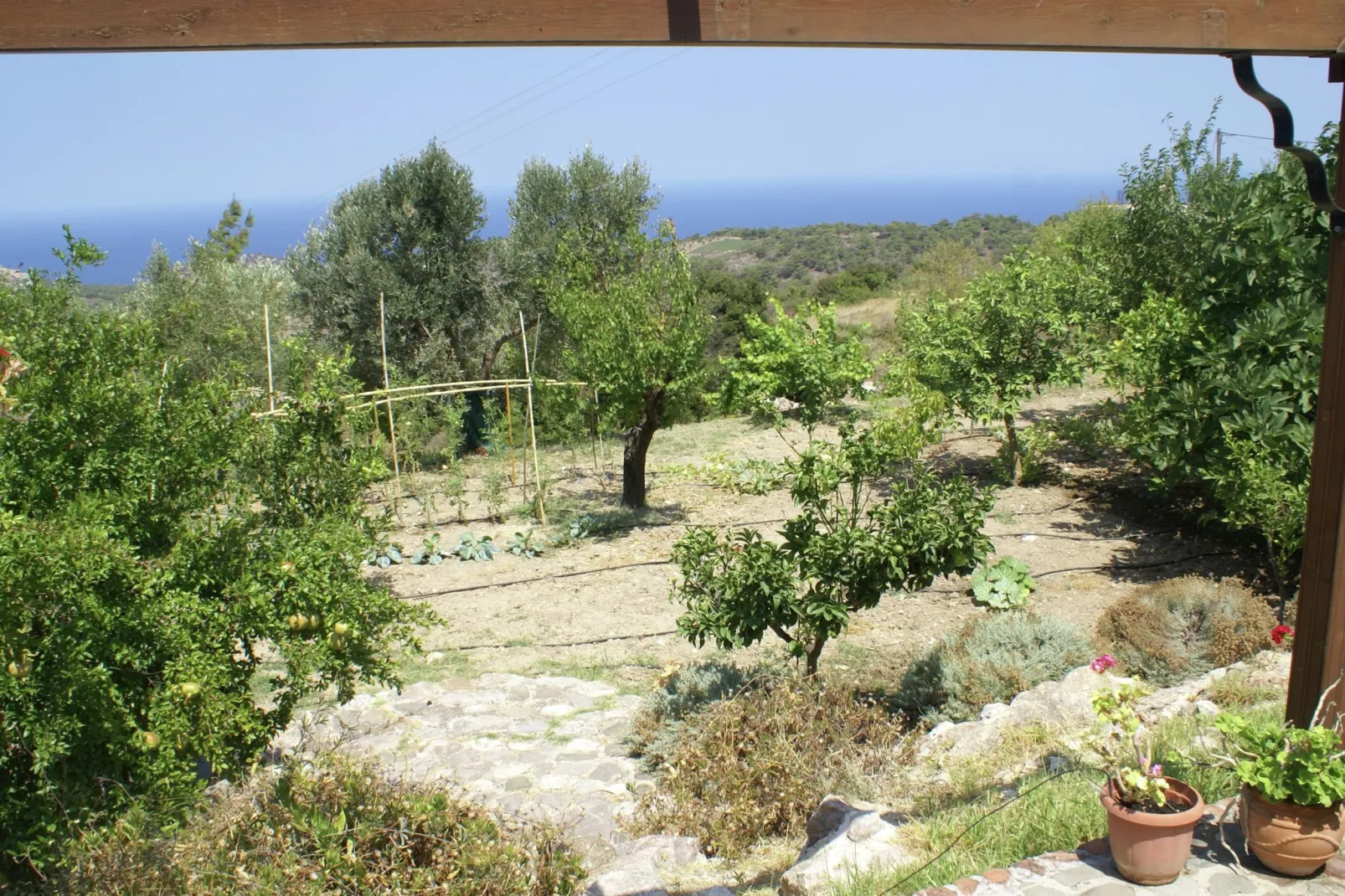 House Kritinia Rhodos-Gardens summer