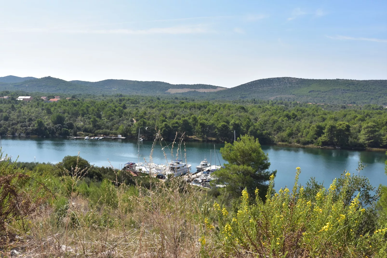 Vrulje-Areas summer 1km