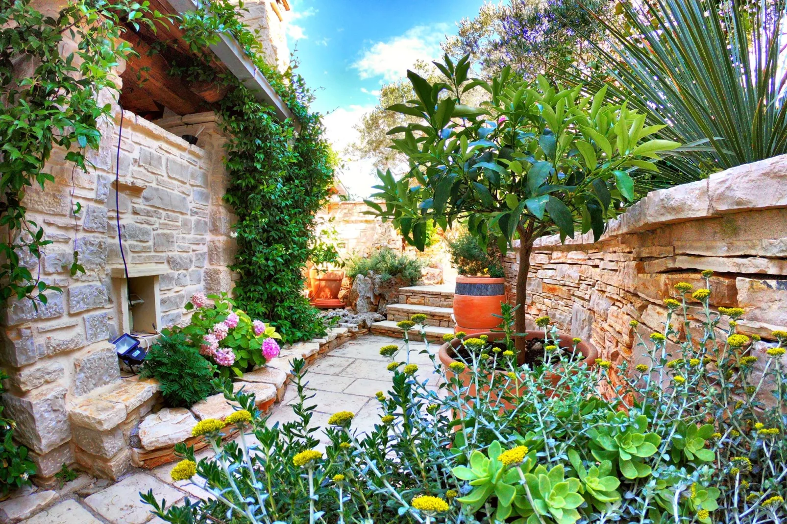 Apartment Nikola-Gardens summer
