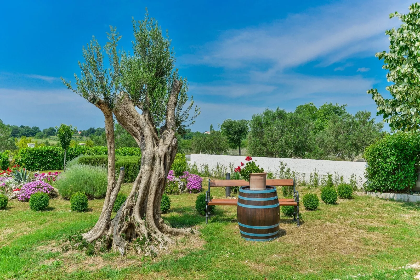 Holiday home Olive garden-Jardin d'été