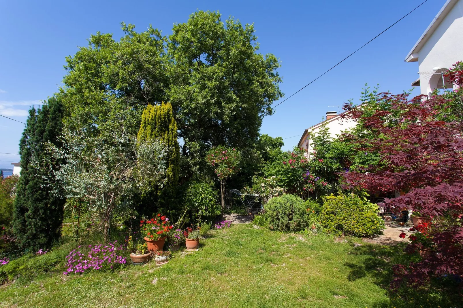 Apartment Dubravka-Gärten Sommer
