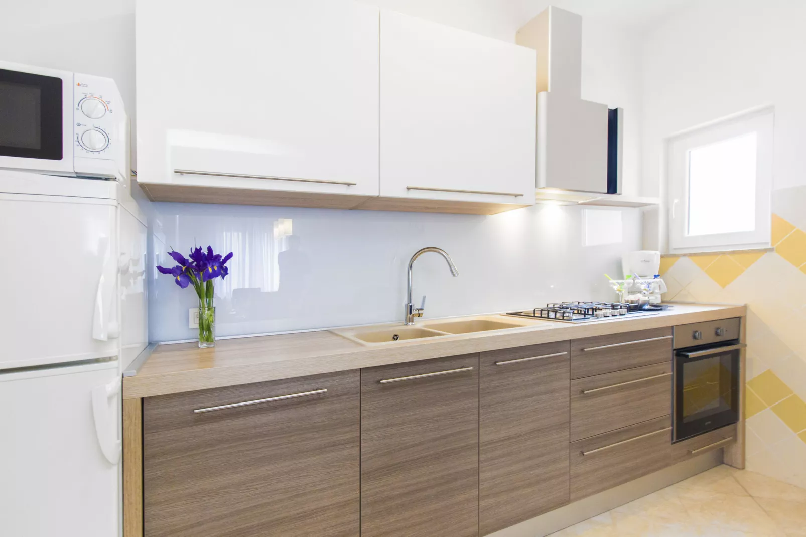 Villa apartment Danica-Kitchen