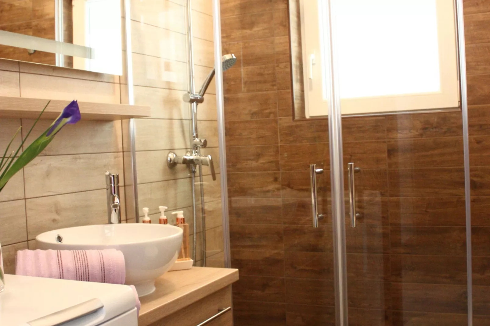 Villa apartment Danica-Bathroom