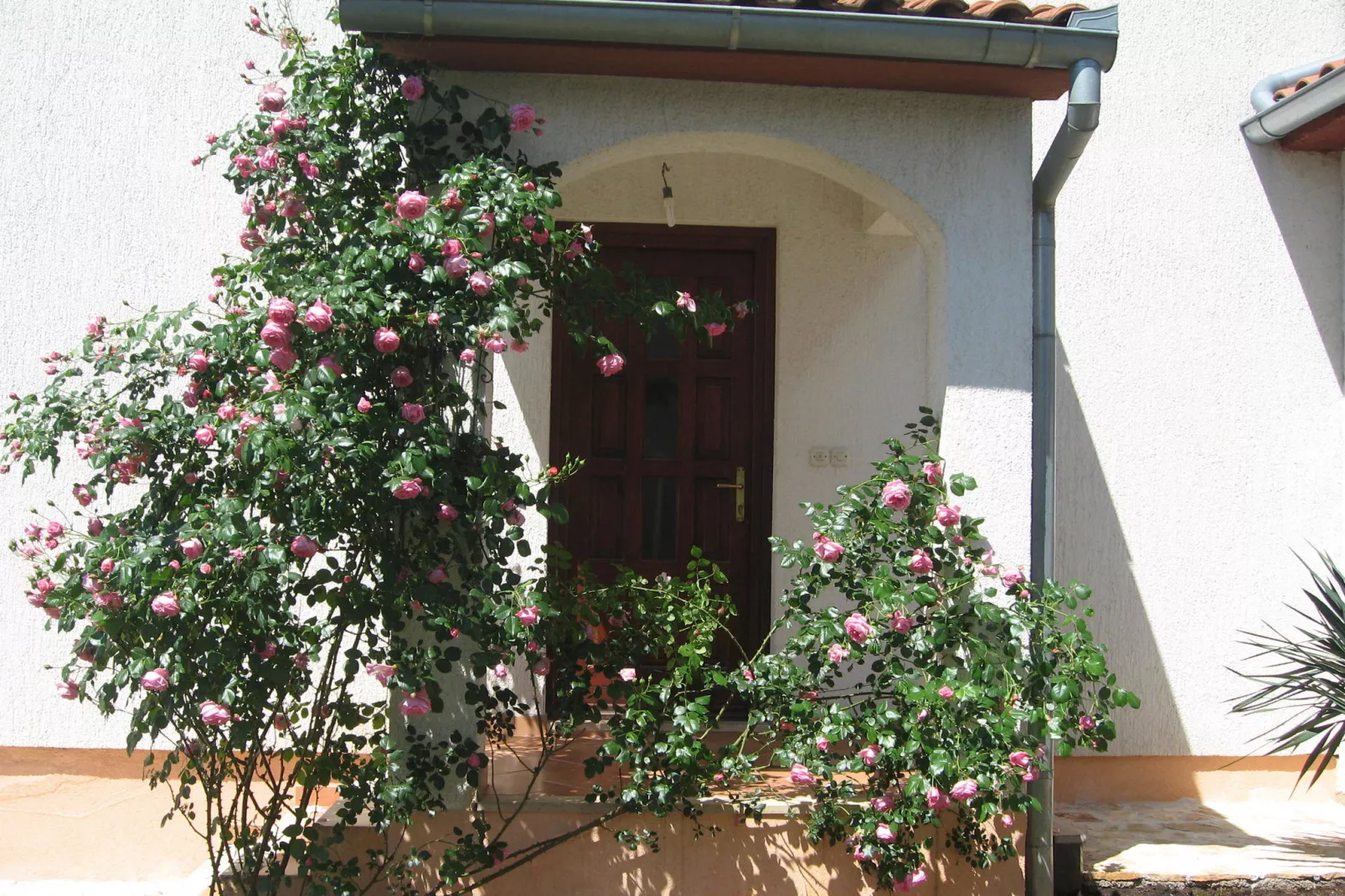 Haus Enisa-Exterior summer