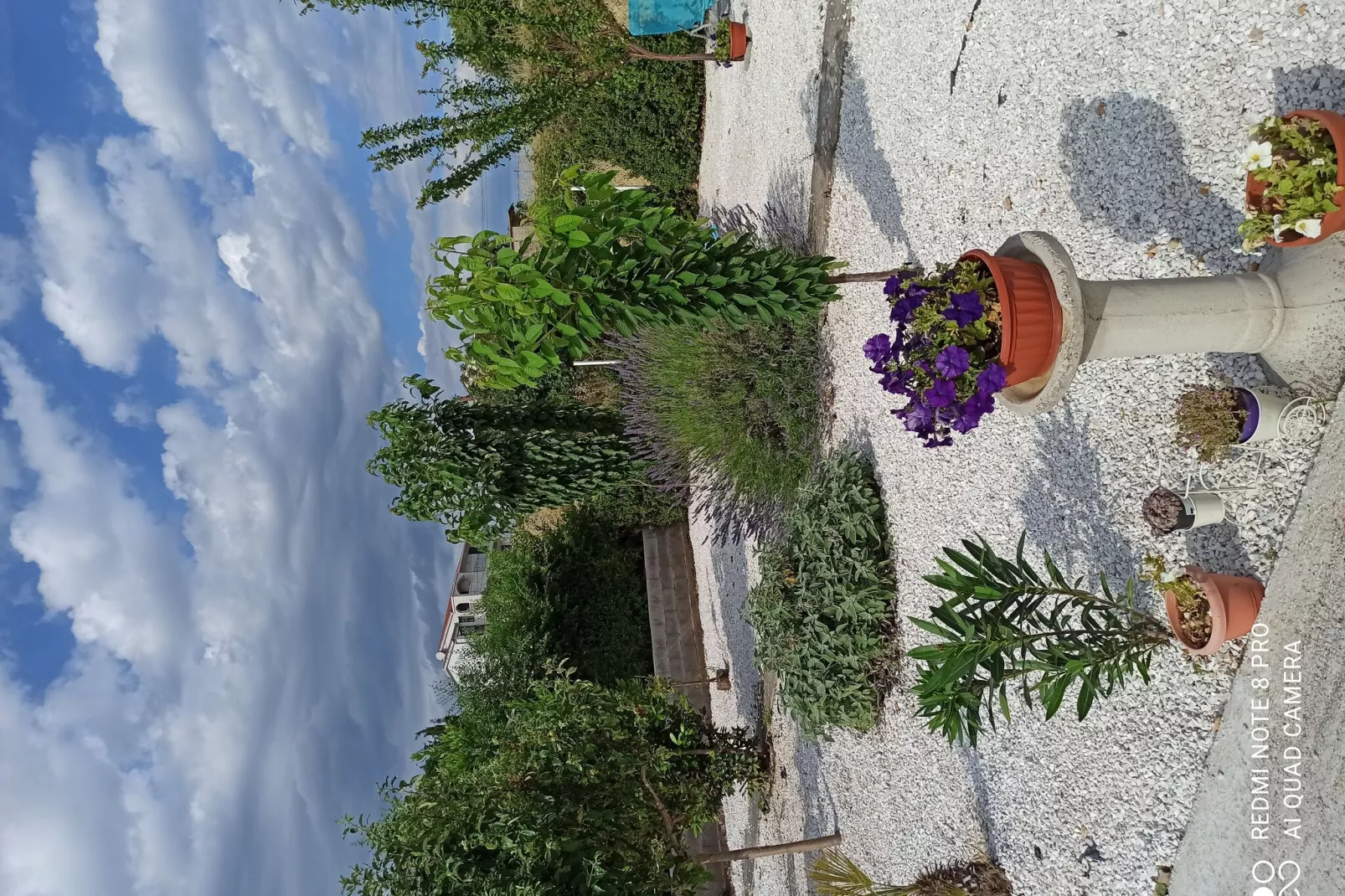 Tina's Apartment-Gardens summer