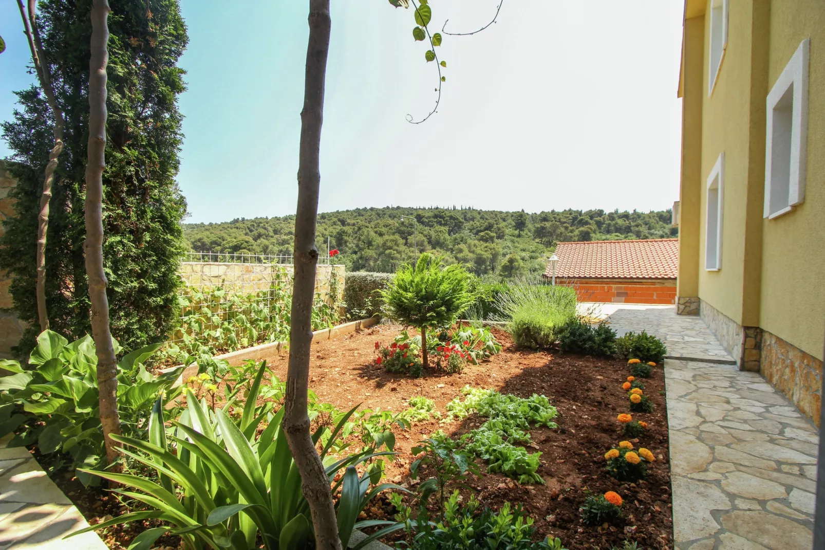 Apartment Petra-Gardens summer