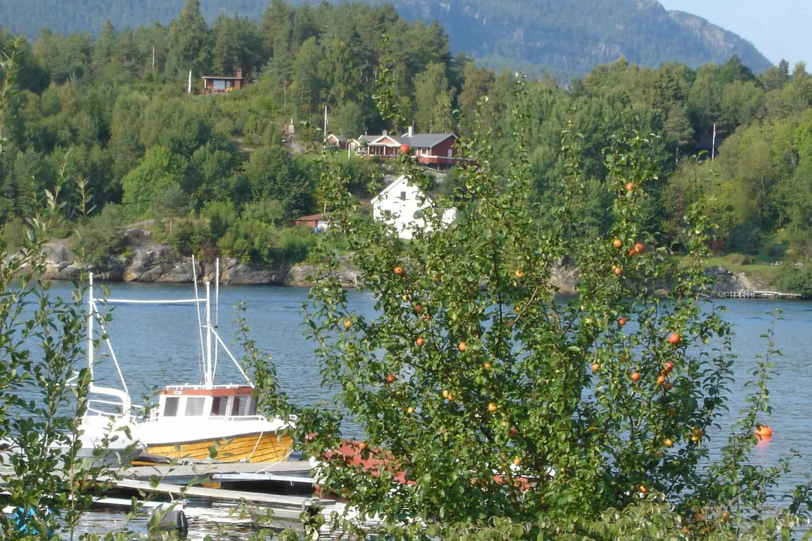 TOR 30524-View
