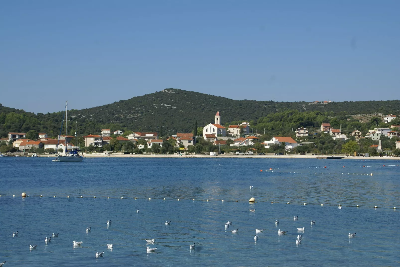 Tatjana-Areas summer 1km