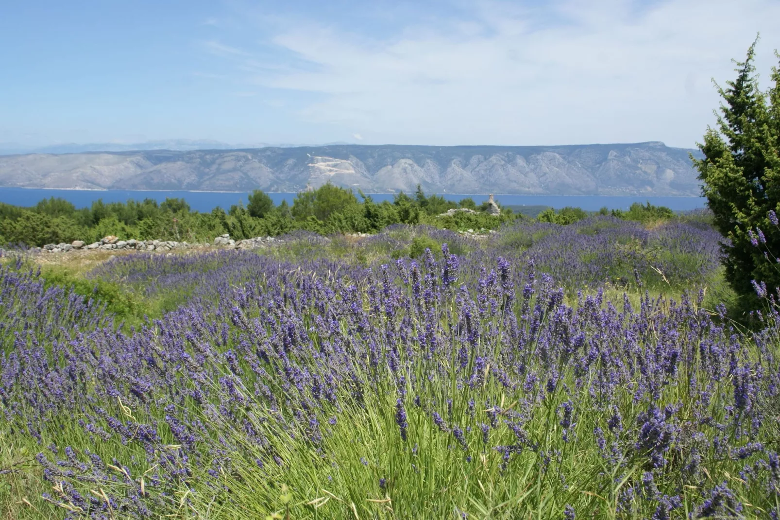 Villa Liza-Areas summer 20km