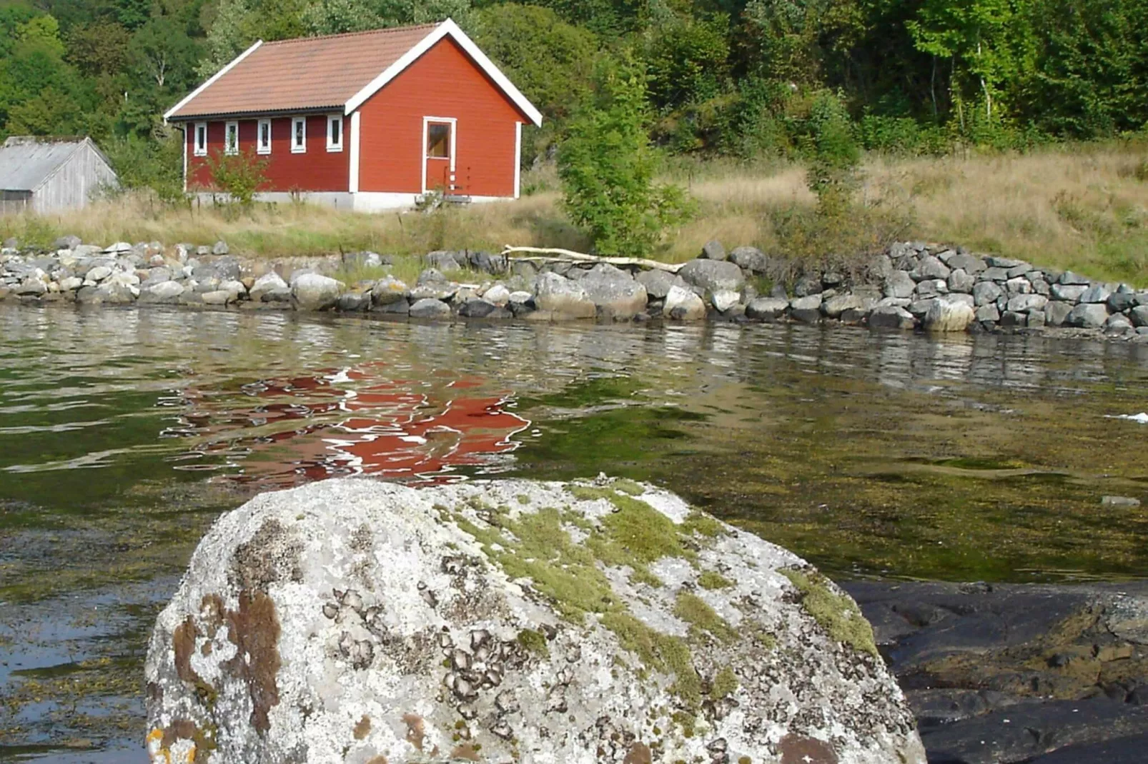 FRØYA 30526