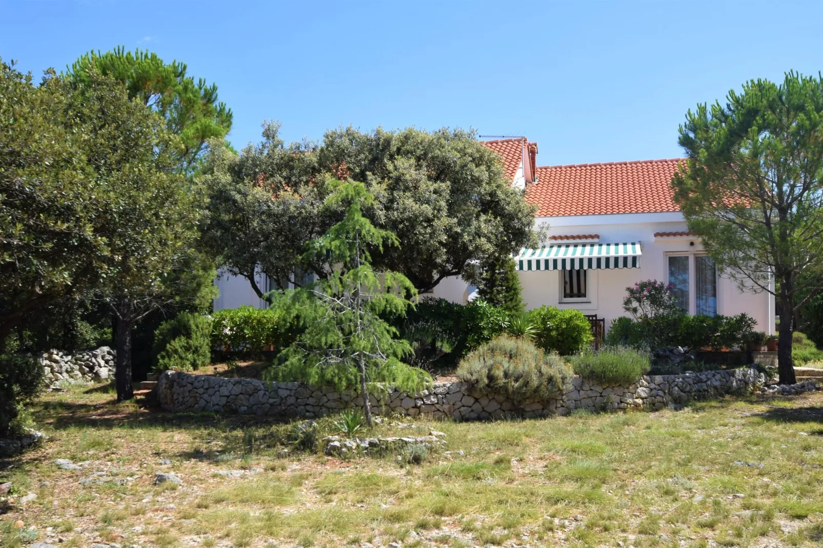 Apartment Petar-Exterior summer