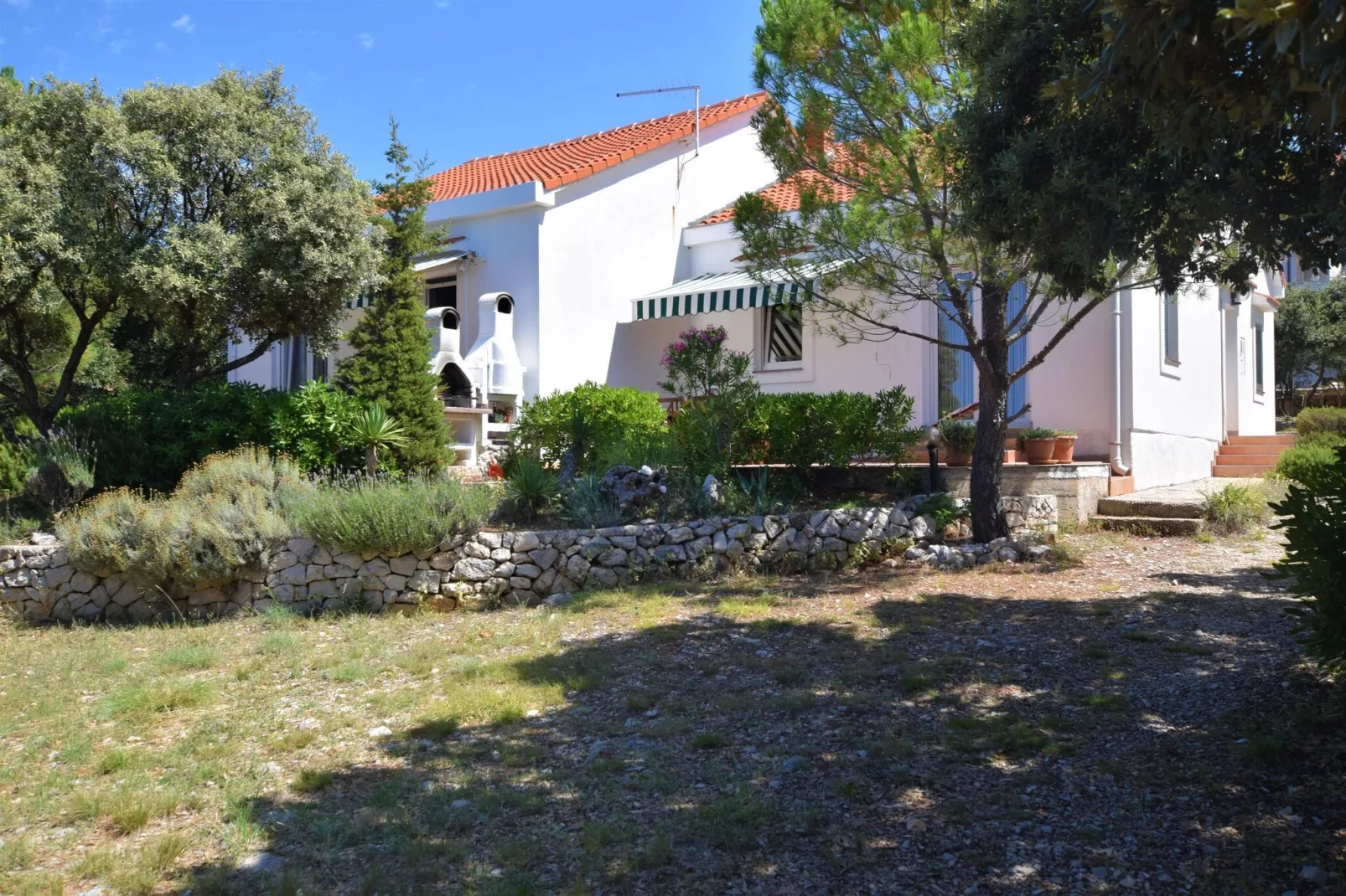 Apartment Petar-Exterior summer