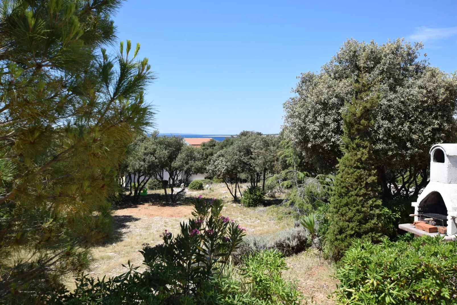 Apartment Petar-Gardens summer