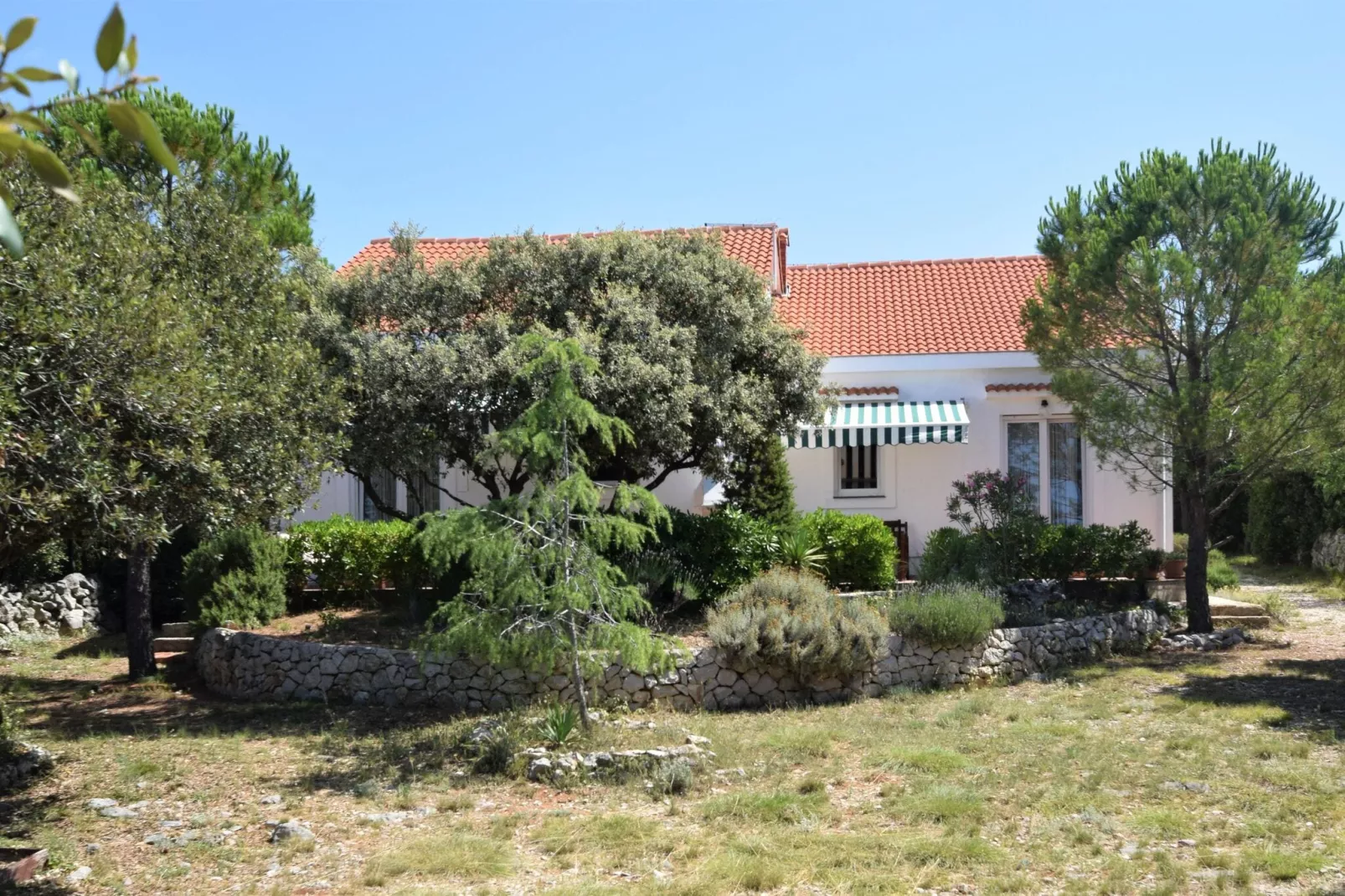 Apartment Petar-Exterior summer