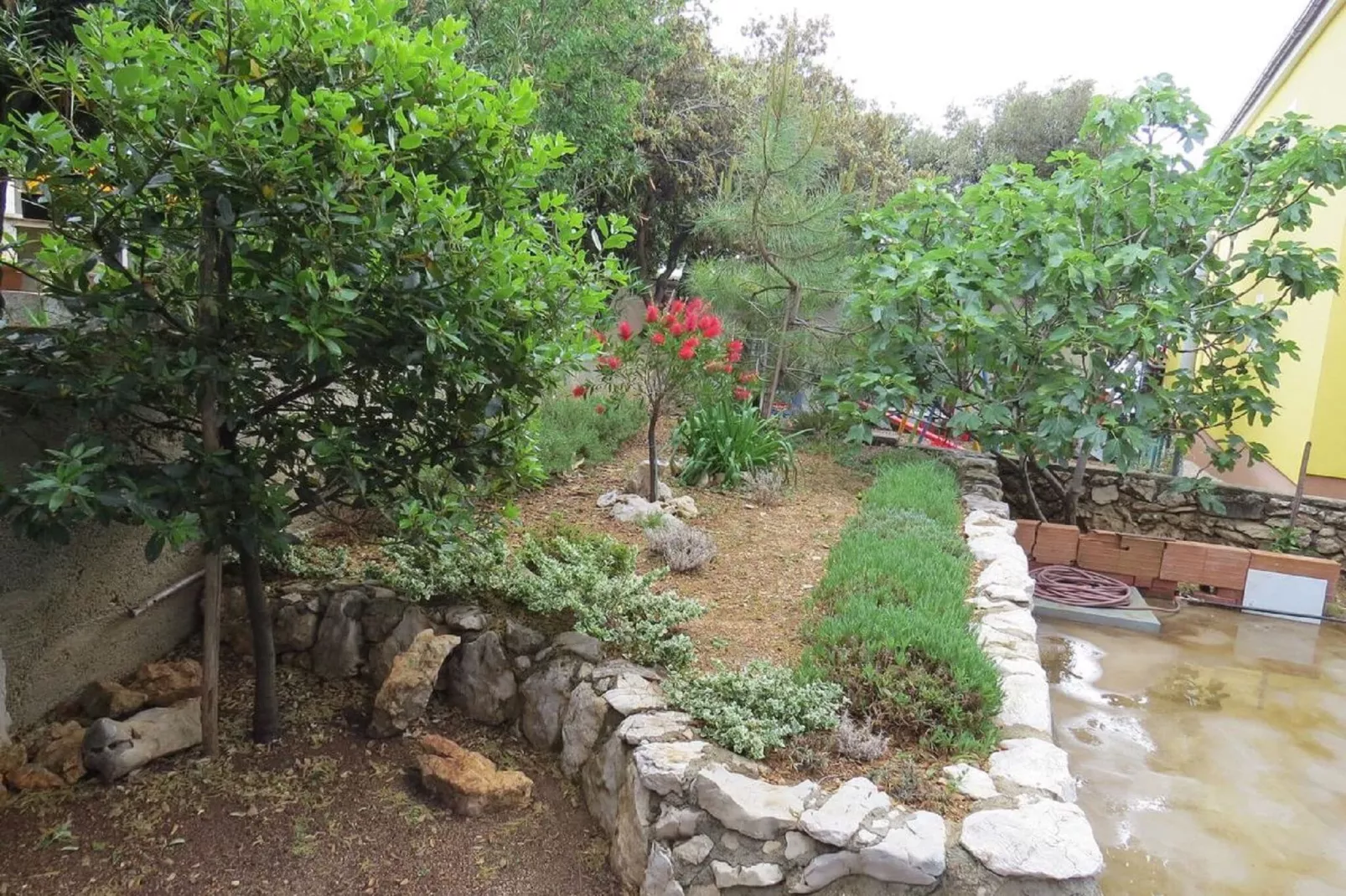 Modra kuća 4-Gardens summer