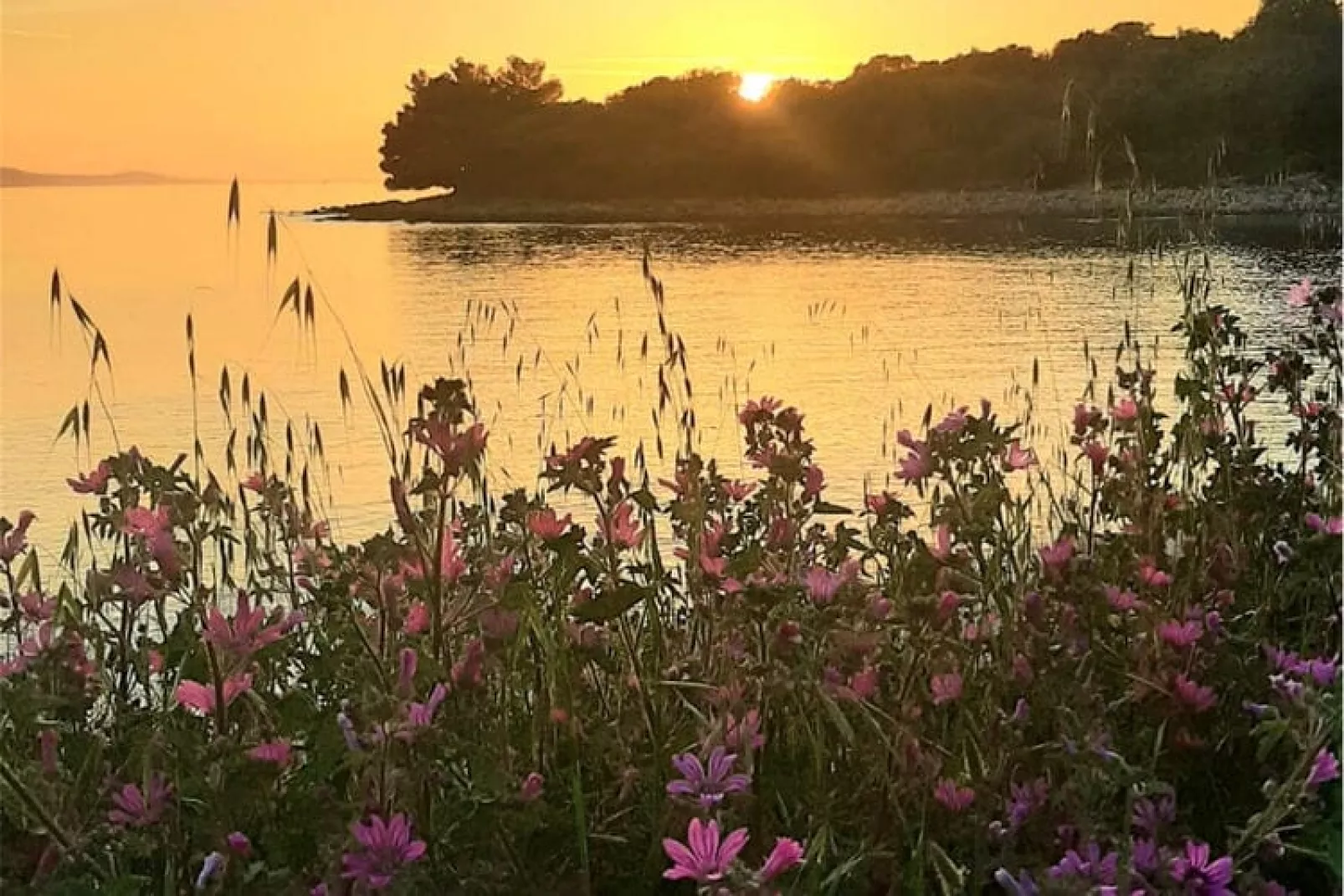 Casa Lorela in Sali Dugi Otok 4 Personen 65 qm-Water view