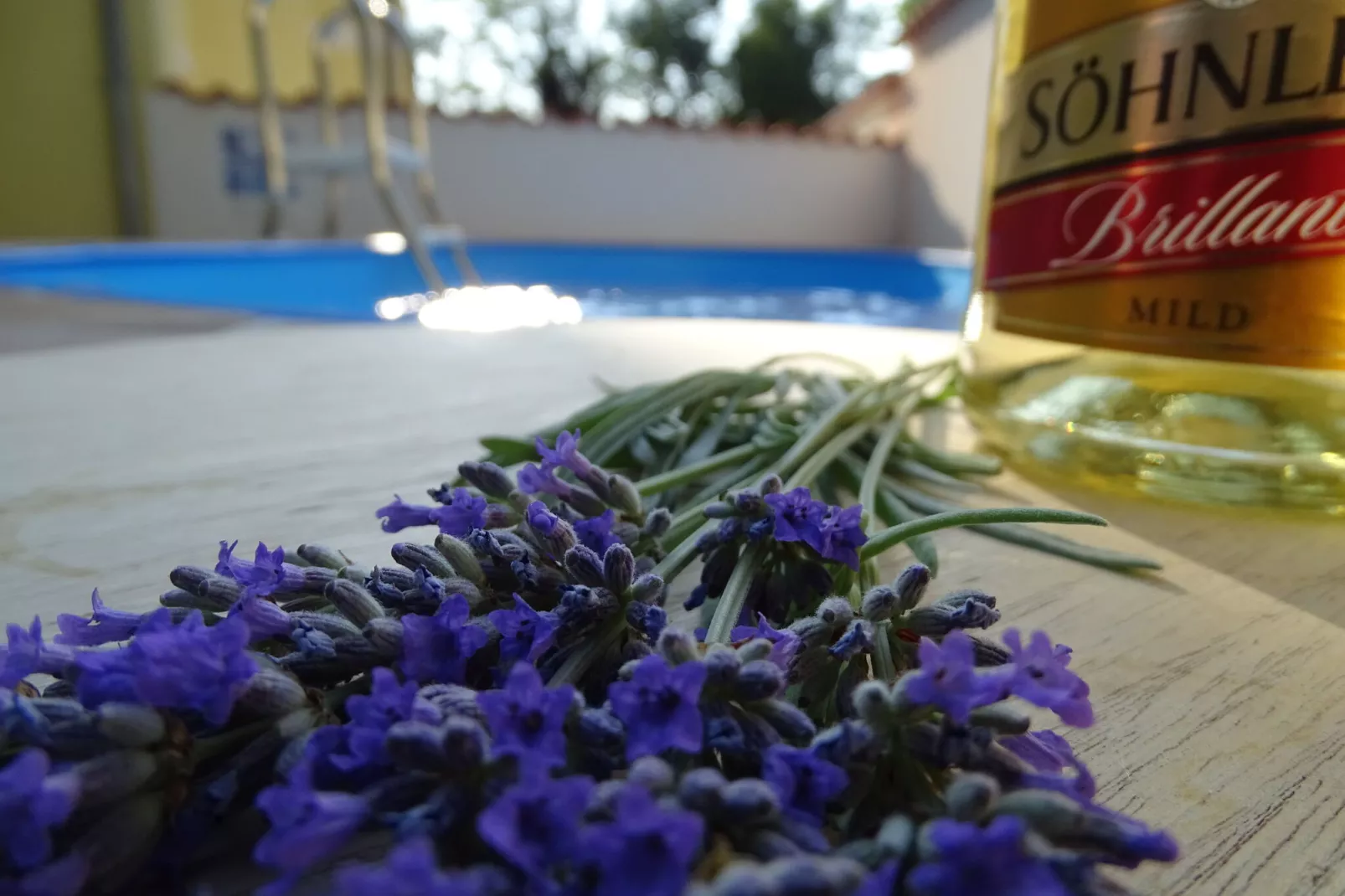 Villa Chiara-Atmosphere