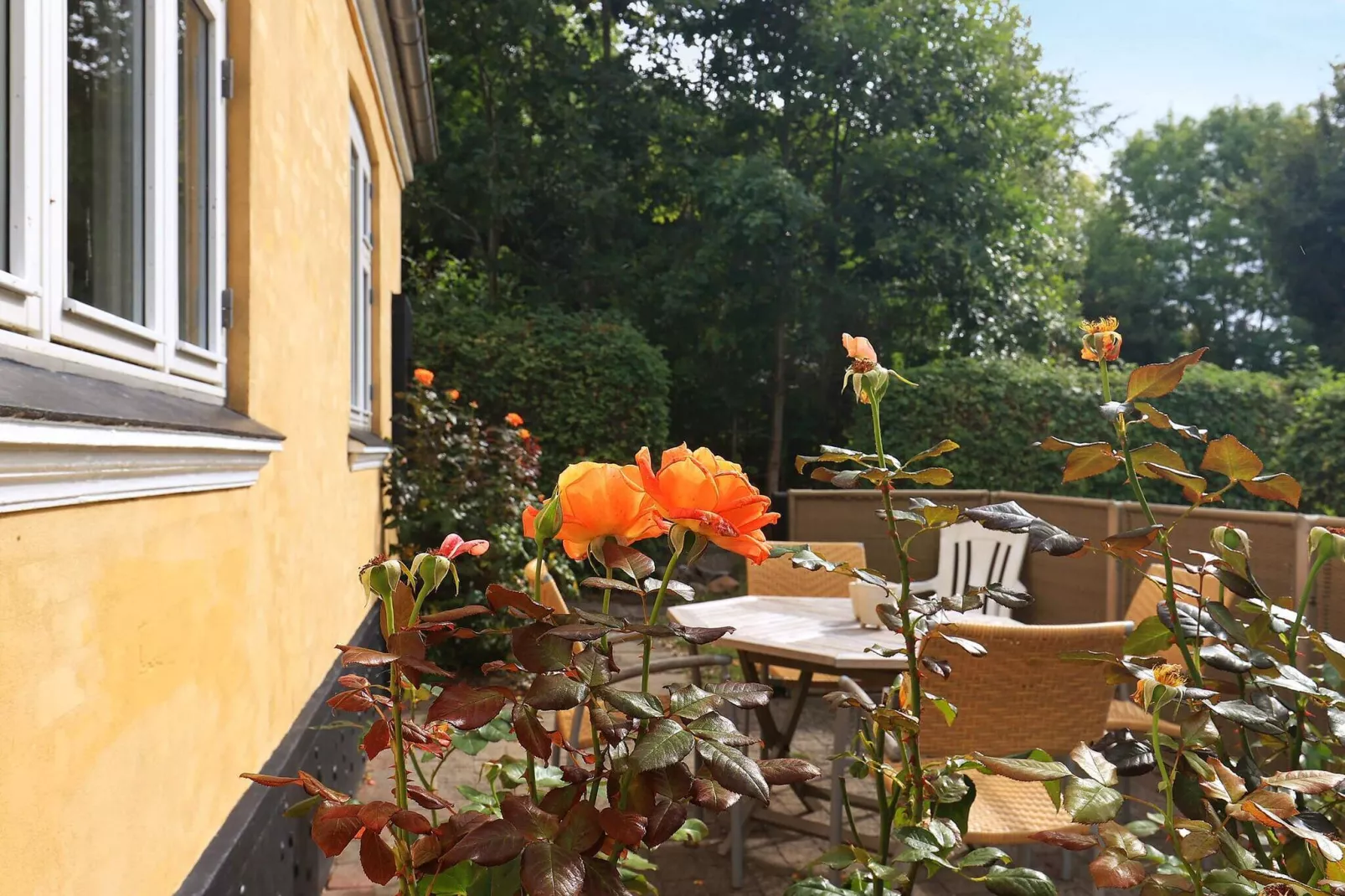 Maison de vacances pour 6 a Søby Ærø-Vue