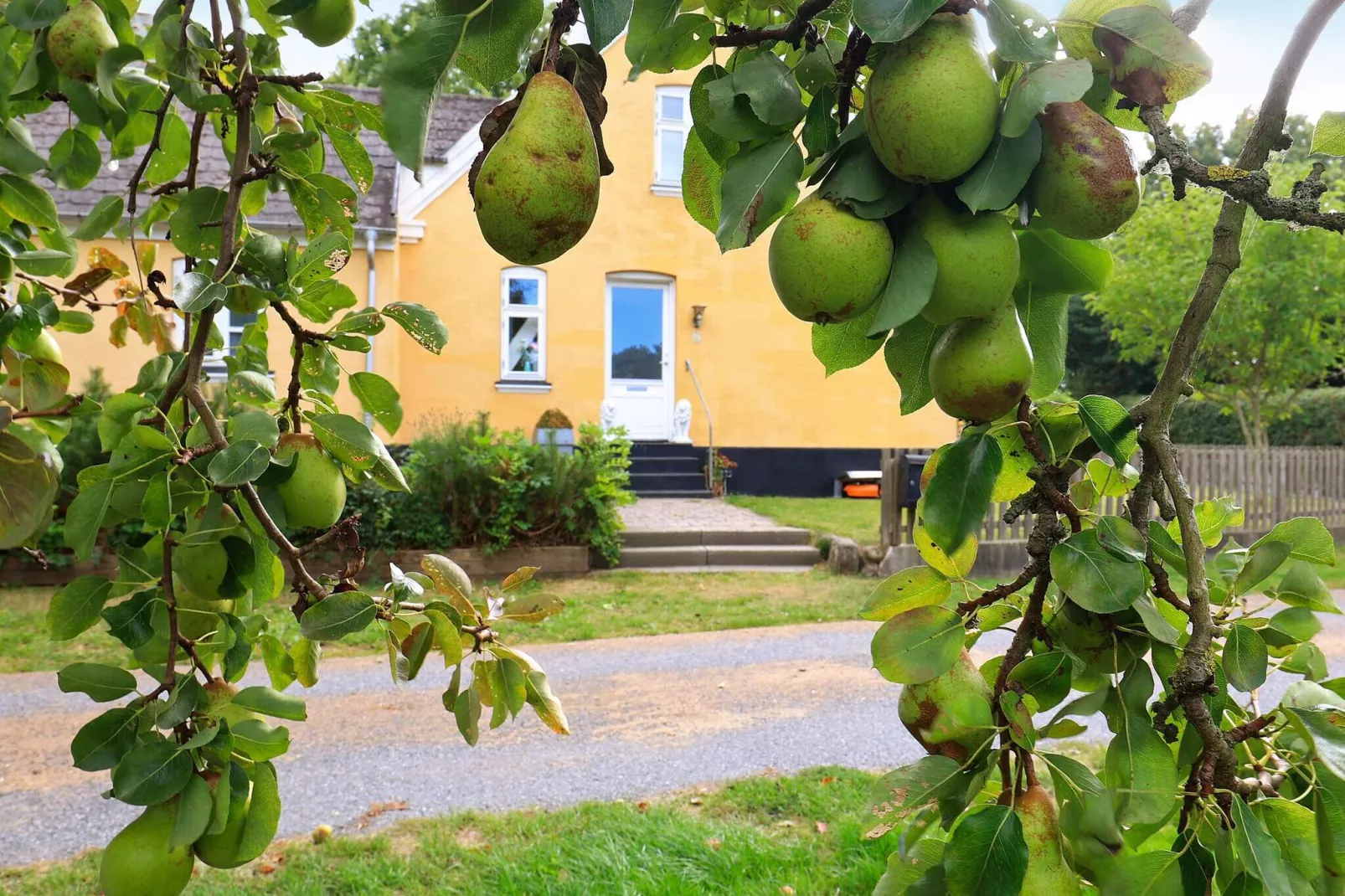 Maison de vacances pour 6 a Søby Ærø-Vue