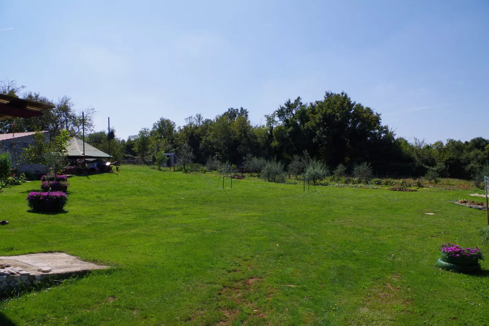 Slavica I-Areas summer 1km